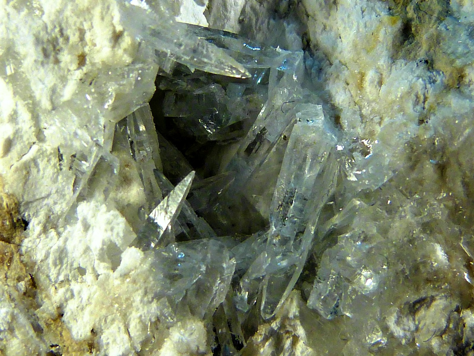 Celestina
6 x 5 x 3 cm.
(Autor: Felipe Abolafia)