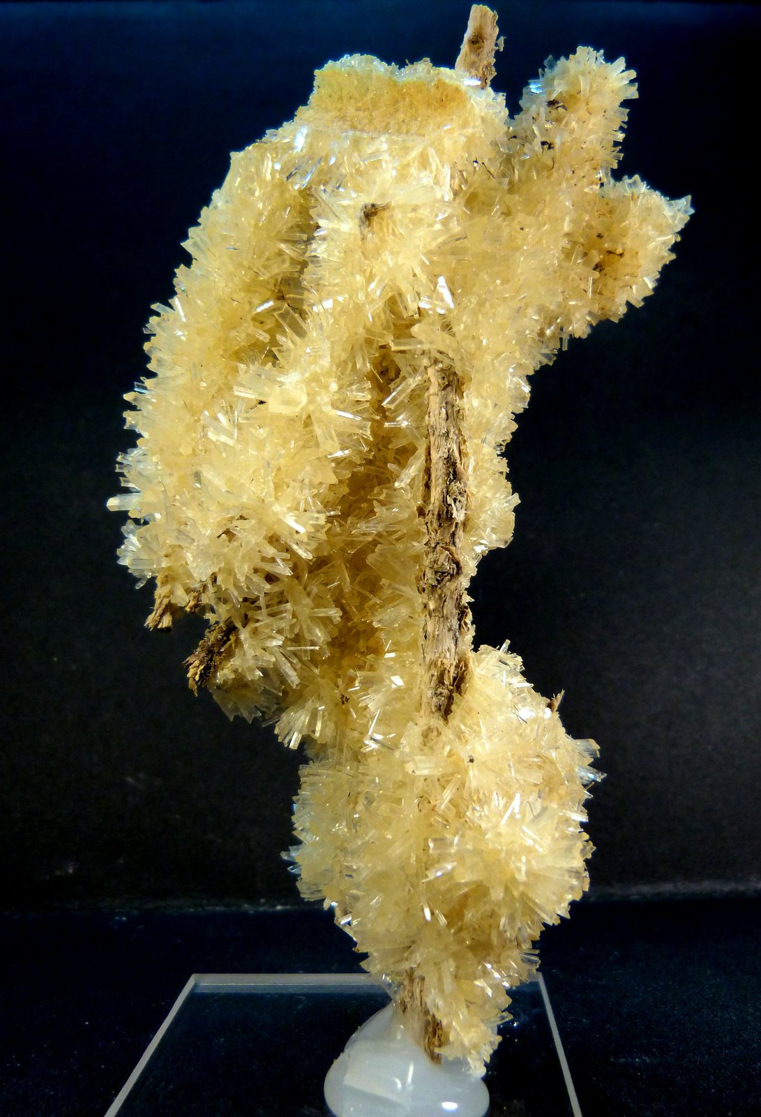Yeso
12 x 7 x 4 cm.
(Autor: Felipe Abolafia)
