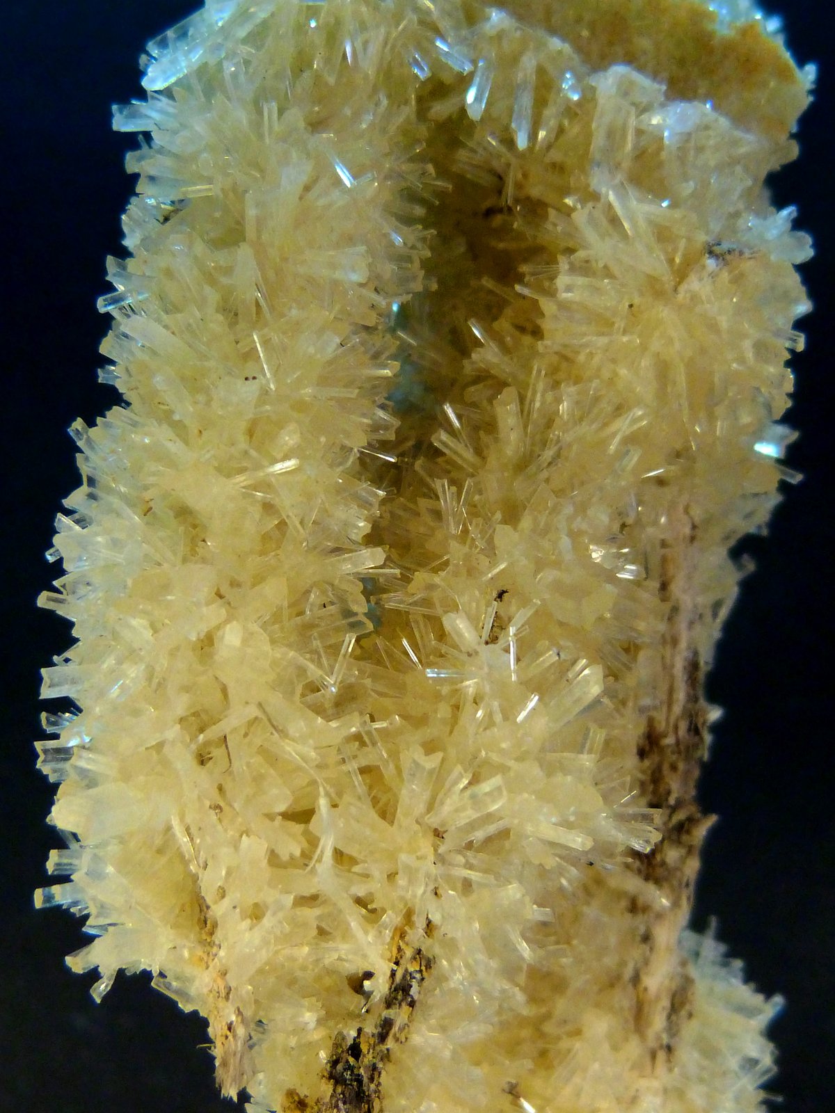 Yeso
12 x 7 x 4 cm.
(Autor: Felipe Abolafia)