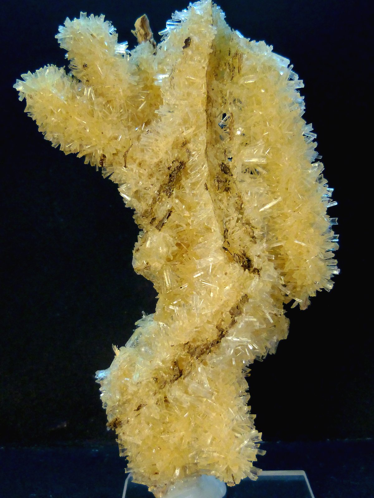 Yeso
12 x 7 x 4 cm.
(Autor: Felipe Abolafia)