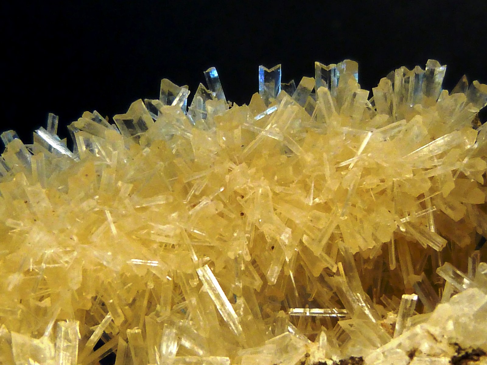 Yeso
12 x 7 x 4 cm.
(Autor: Felipe Abolafia)
