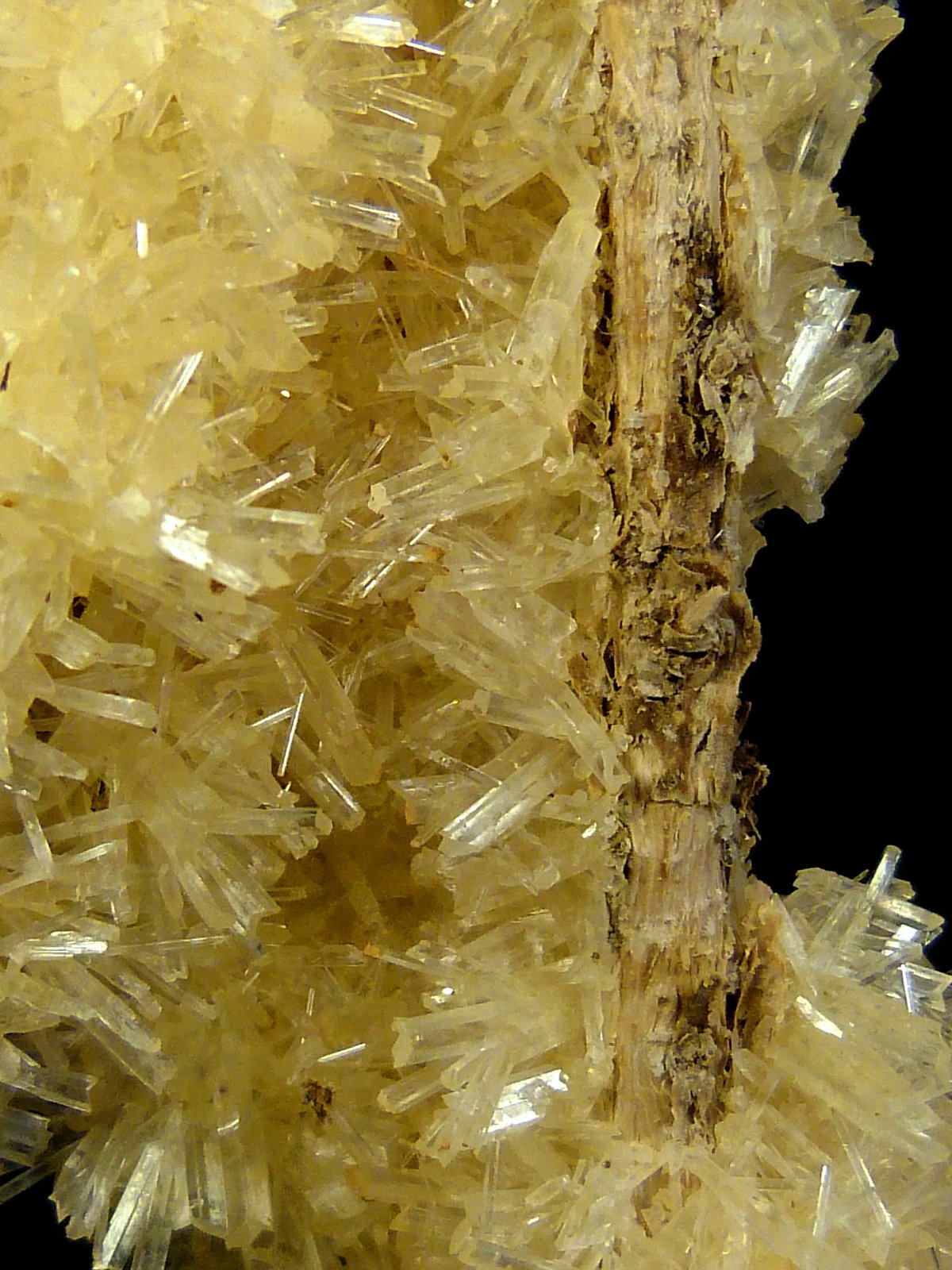 Yeso
12 x 7 x 4 cm.
(Autor: Felipe Abolafia)