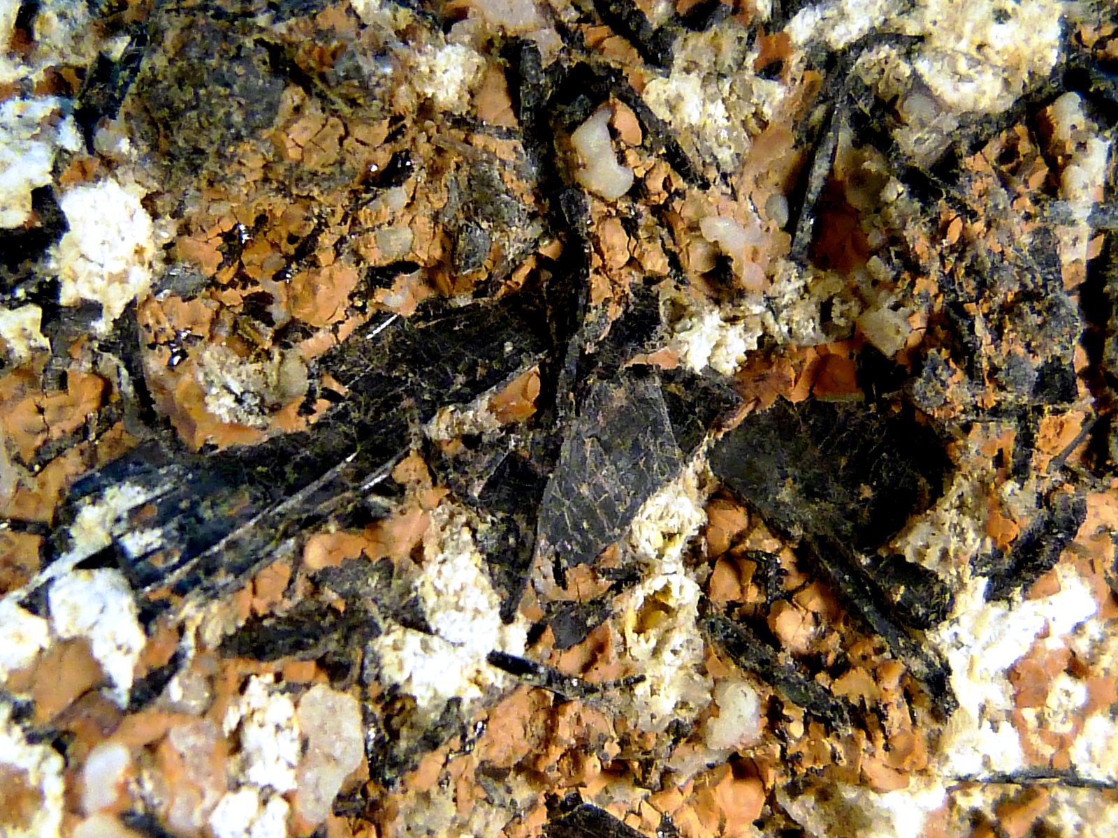 Ijolita fenitizada
6,5 x 5,5 x 4 cm.
(Autor: Felipe Abolafia)