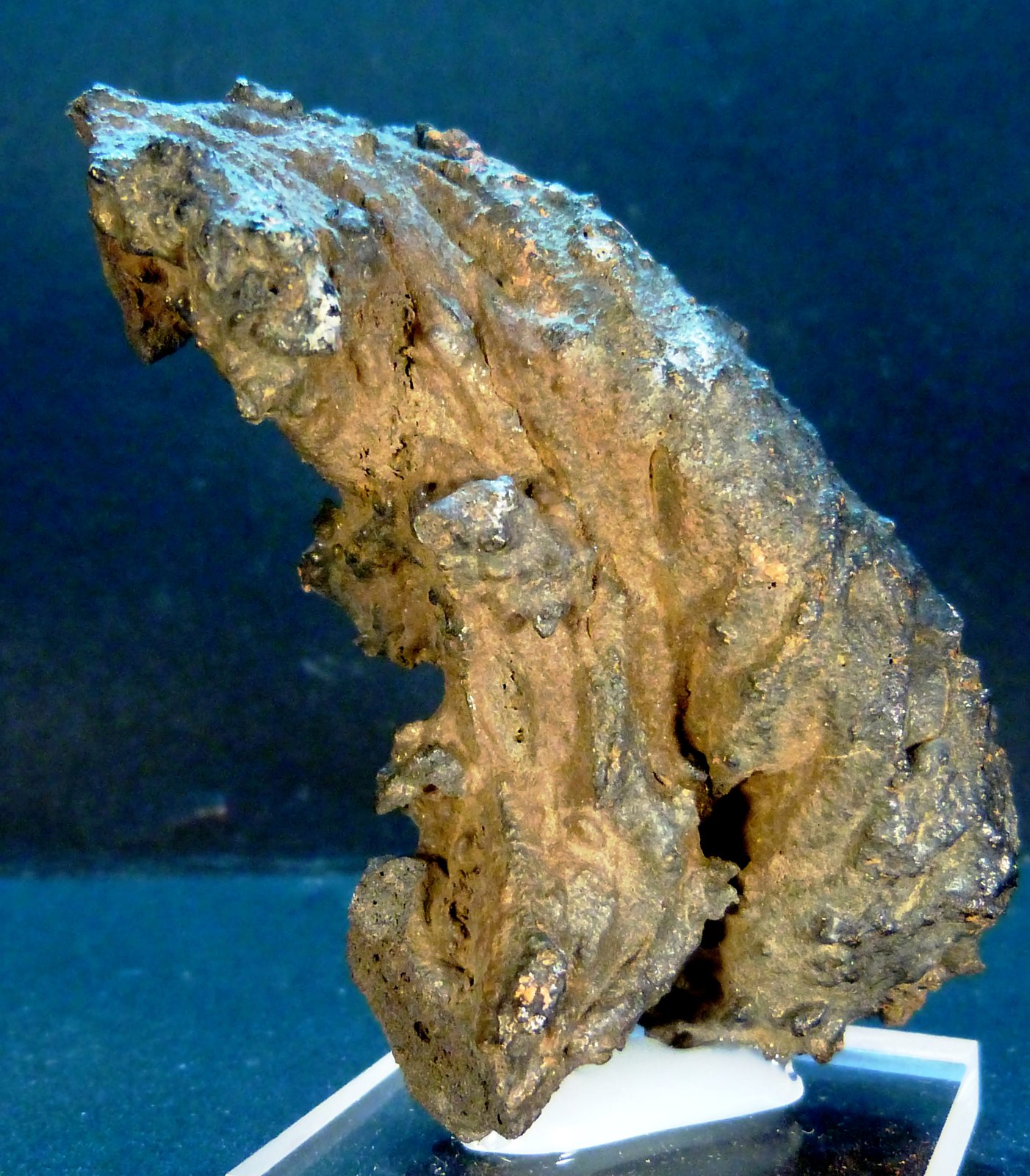 Lava
6 x 4 x 3 cm.
(Autor: Felipe Abolafia)