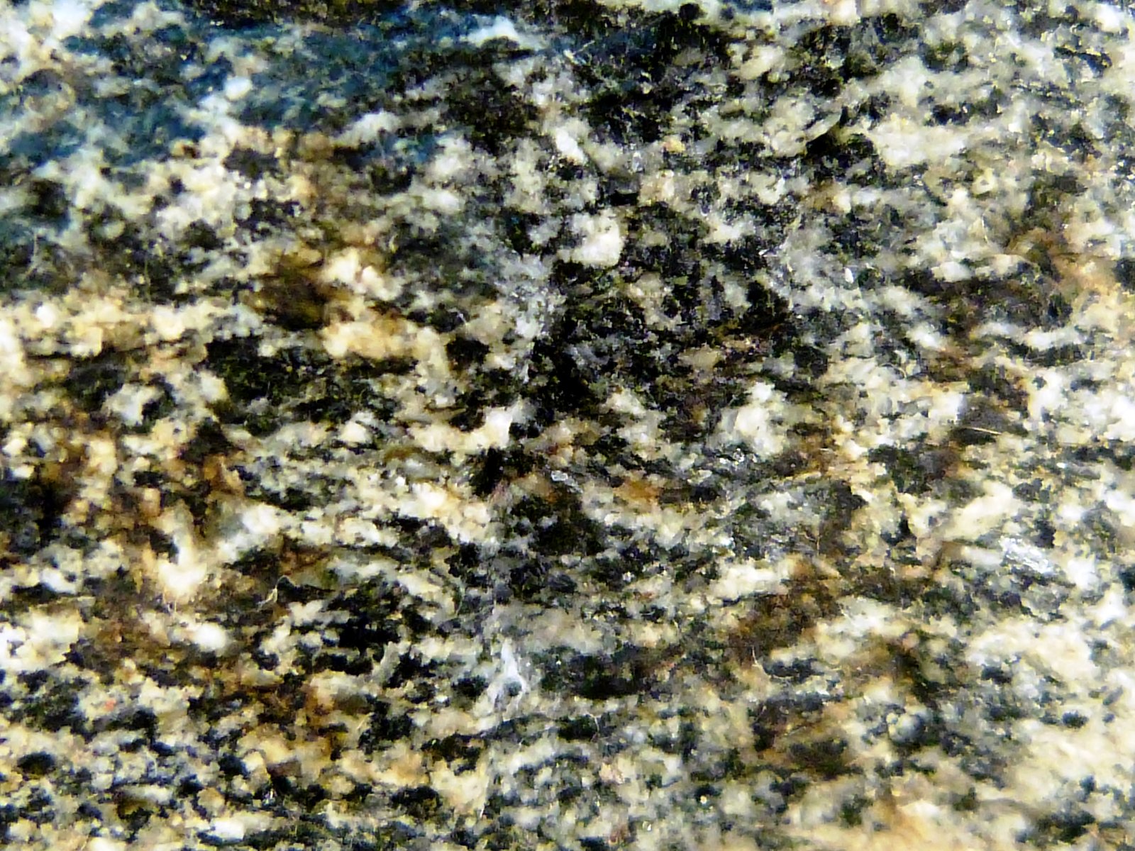 Gabro
7,5 x 5 x 6 cm.
(Autor: Felipe Abolafia)