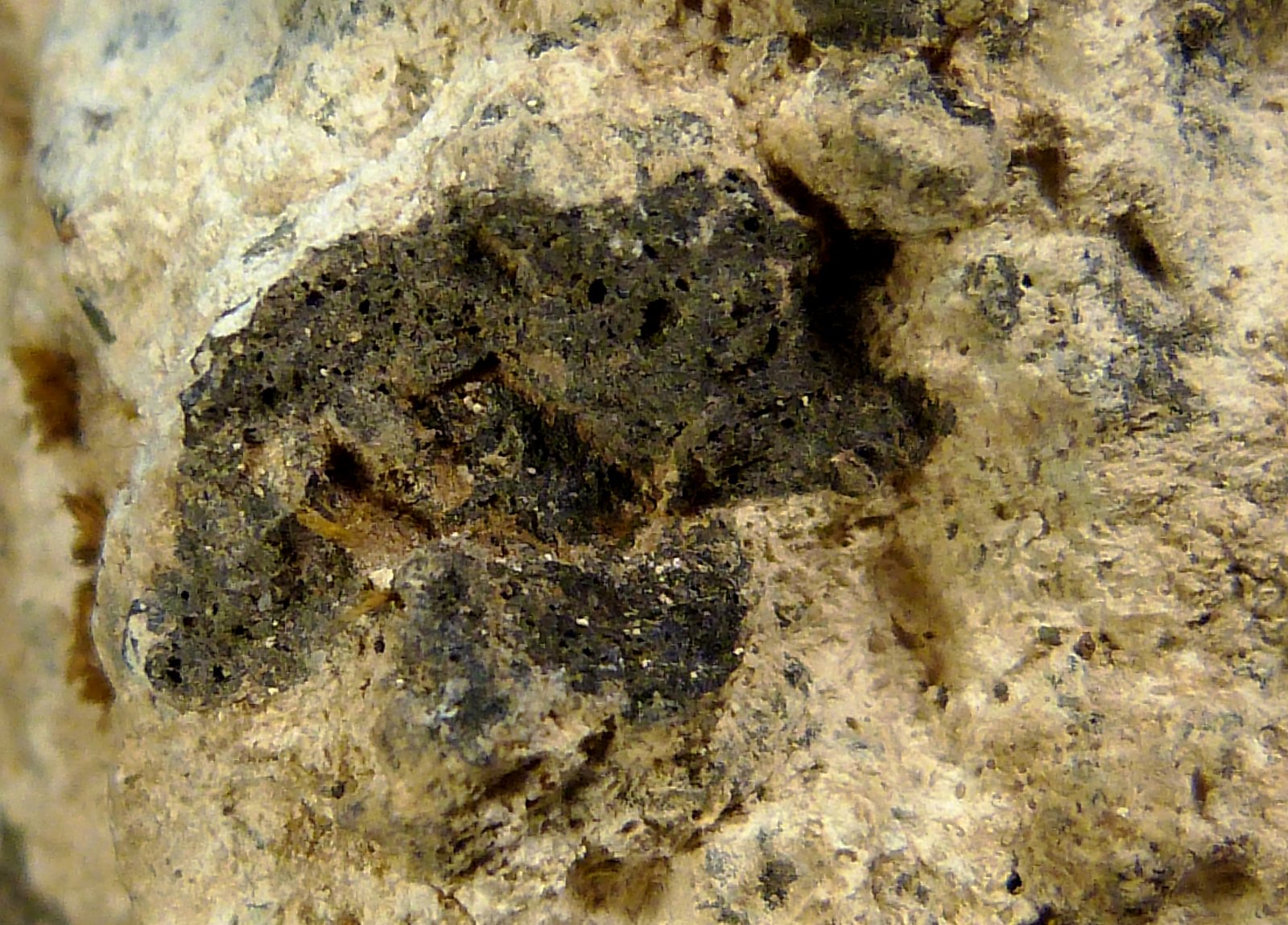 Andesita hidrotermalizada (Bentonita)
7 x 7 x 8 cm.
(Autor: Felipe Abolafia)