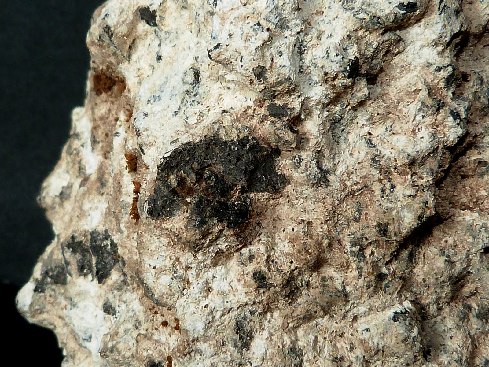 Andesita hidrotermalizada (Bentonita)
7 x 7 x 8 cm.
(Autor: Felipe Abolafia)