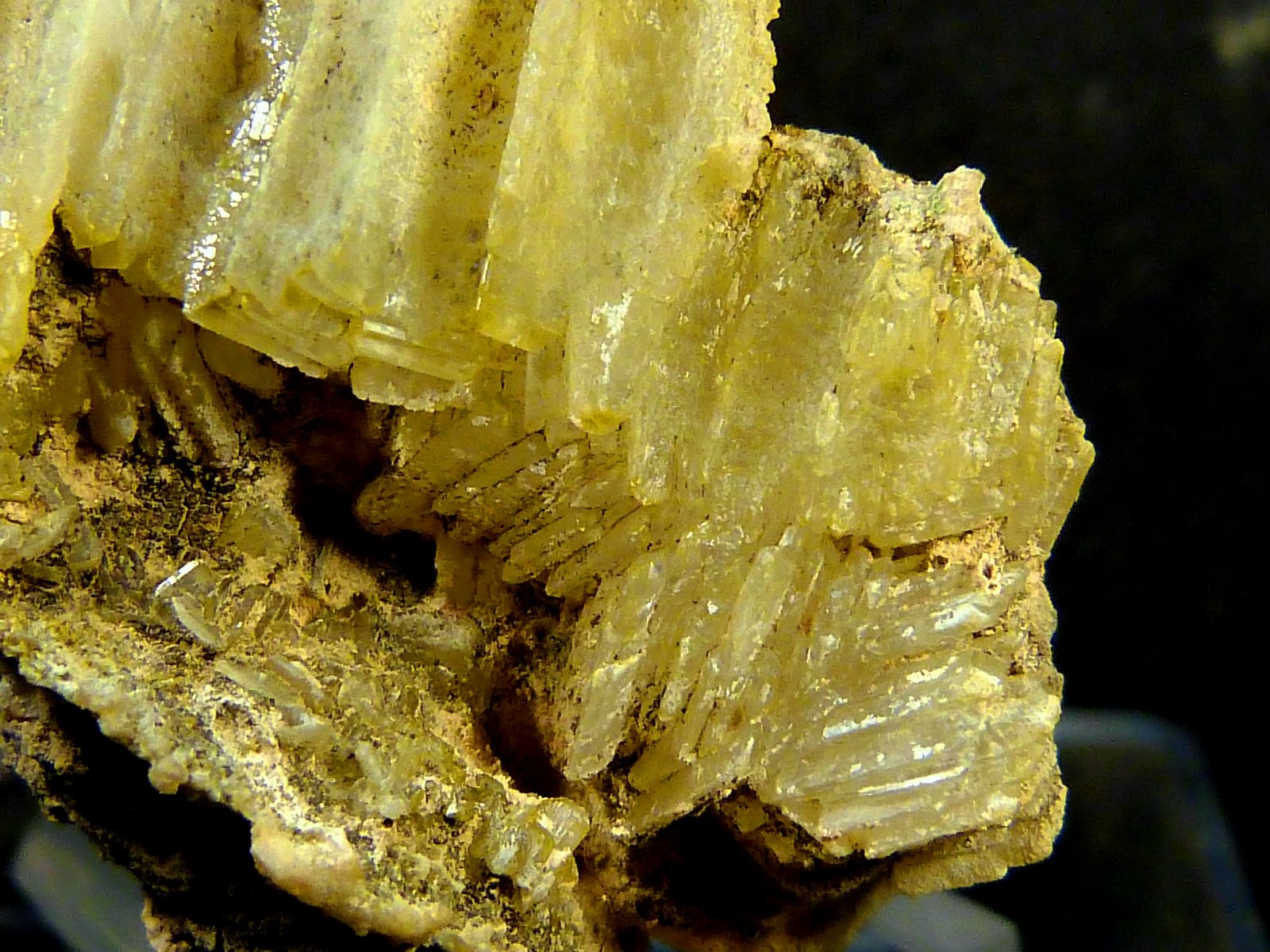 Celestina
6 x 4 x 3 cm.
(Autor: Felipe Abolafia)