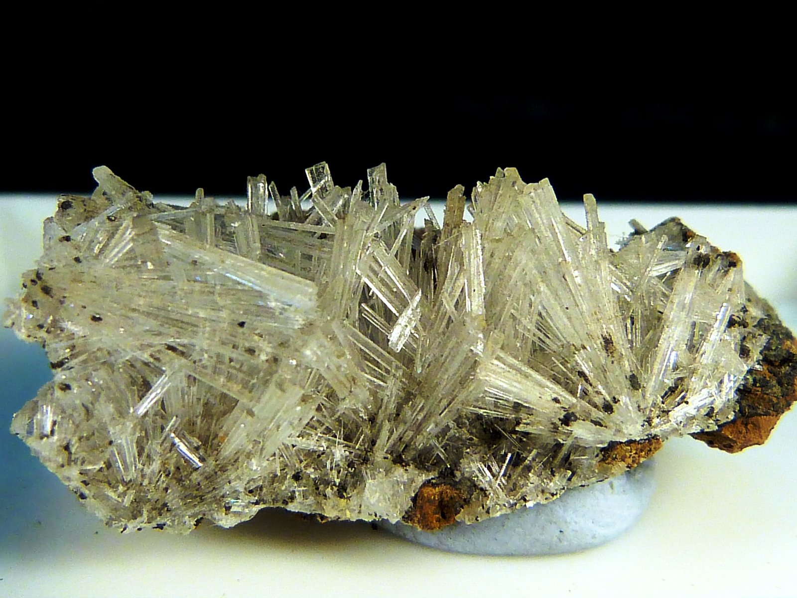 Scholzita
2,5 x 1,5 x 1 cm.
(Autor: Felipe Abolafia)