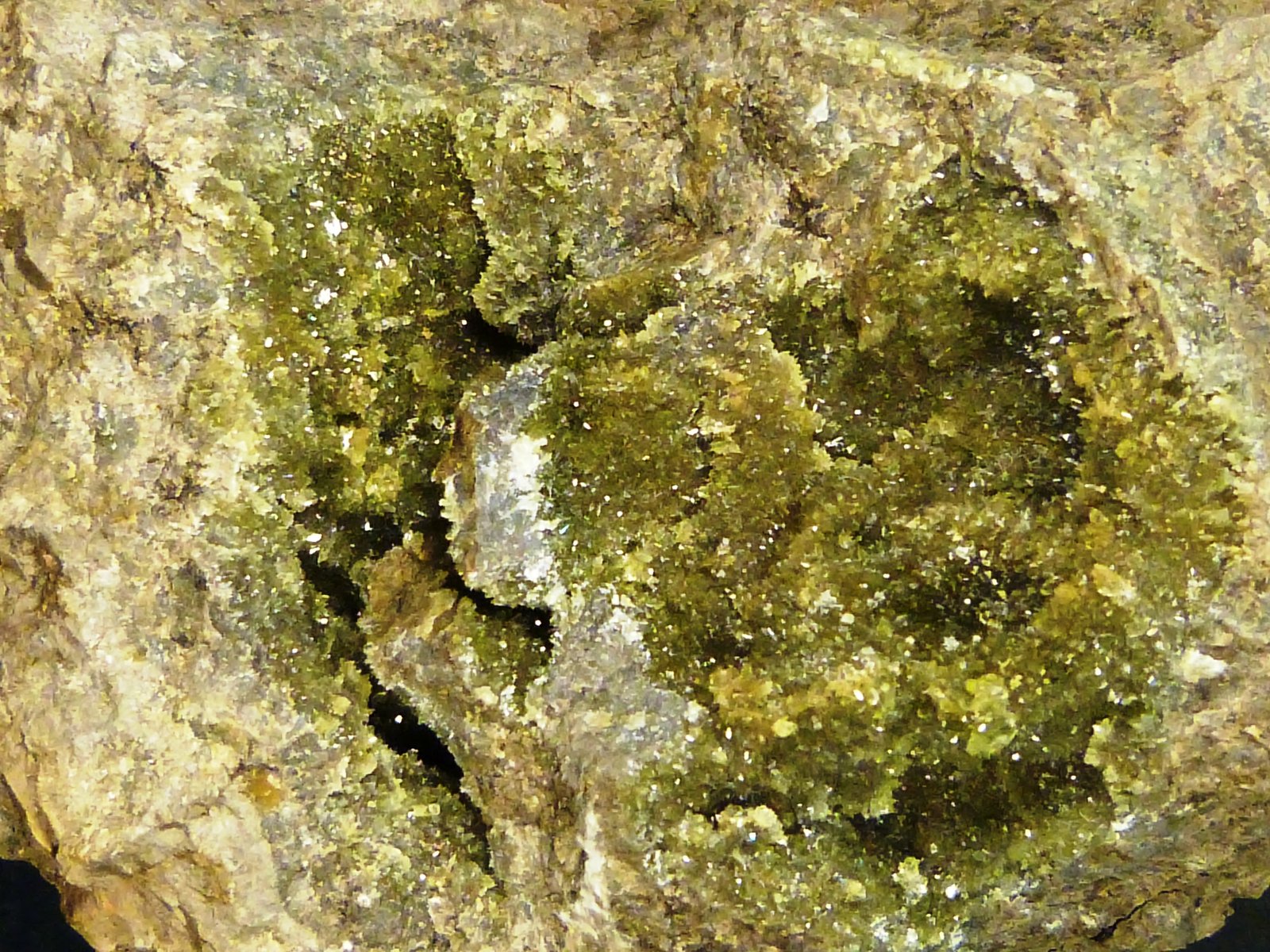 Anapaita
6 x 8 x 3 cm.
(Autor: Felipe Abolafia)