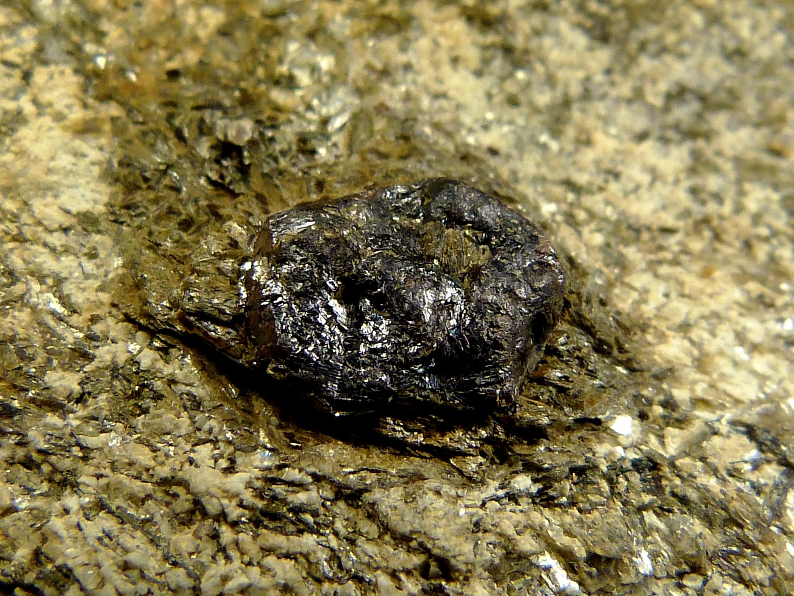 Rutilo
9 x 4 x 5 cm.
(Autor: Felipe Abolafia)