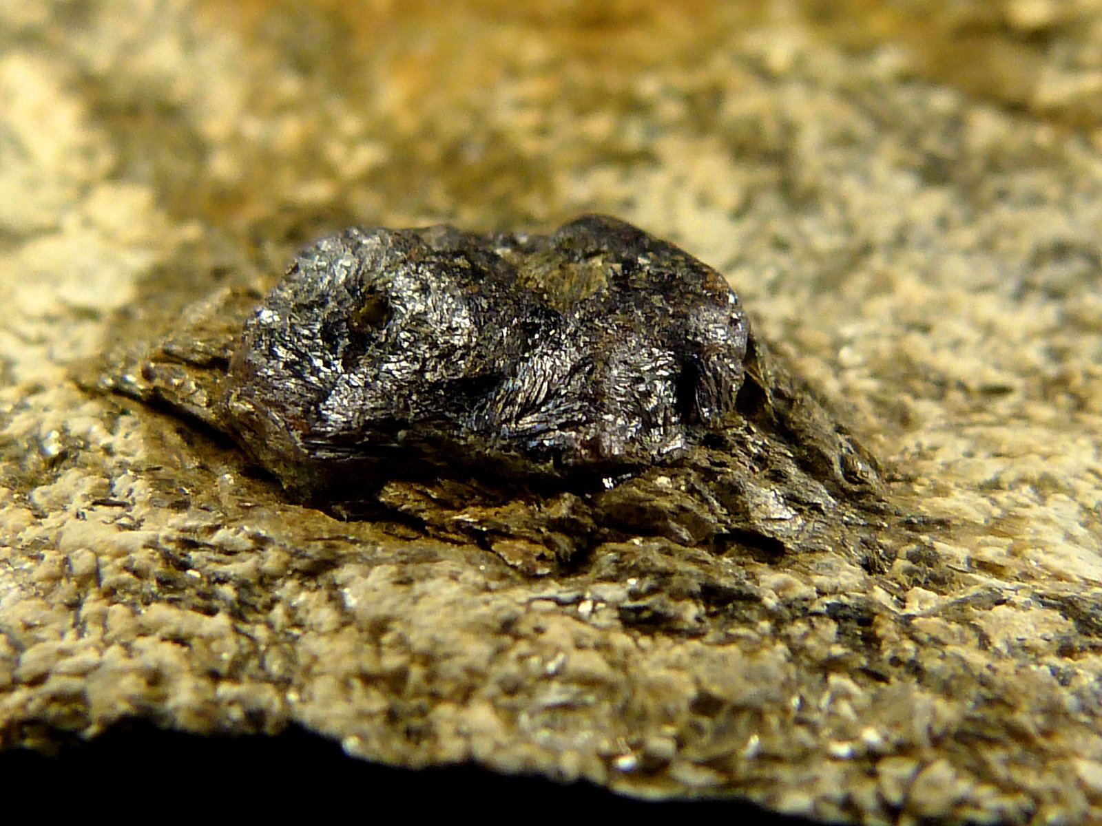 Rutilo
9 x 4 x 5 cm.
(Autor: Felipe Abolafia)