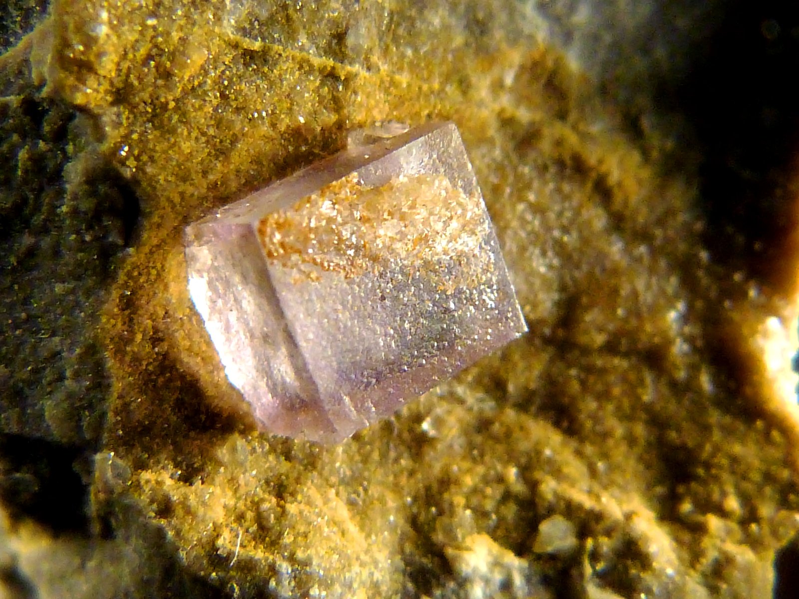 Fluorita
2,5 x 3 x 1,5 cm.
(Autor: Felipe Abolafia)
