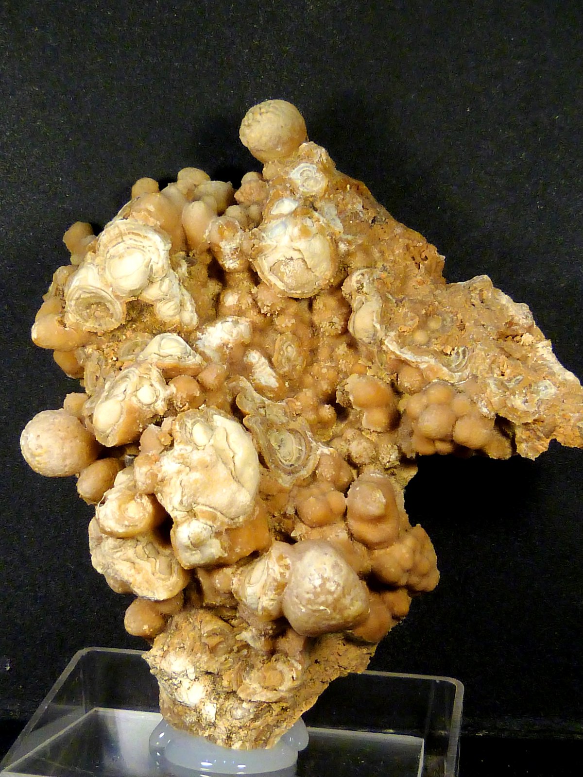 Aragonito
7 x 8 x 3,5 cm.
(Autor: Felipe Abolafia)