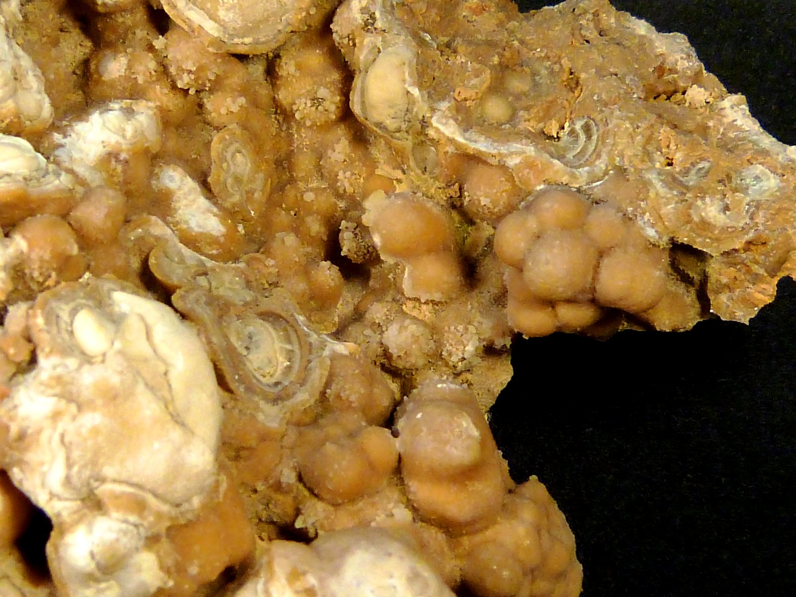 Aragonito
7 x 8 x 3,5 cm.
(Autor: Felipe Abolafia)