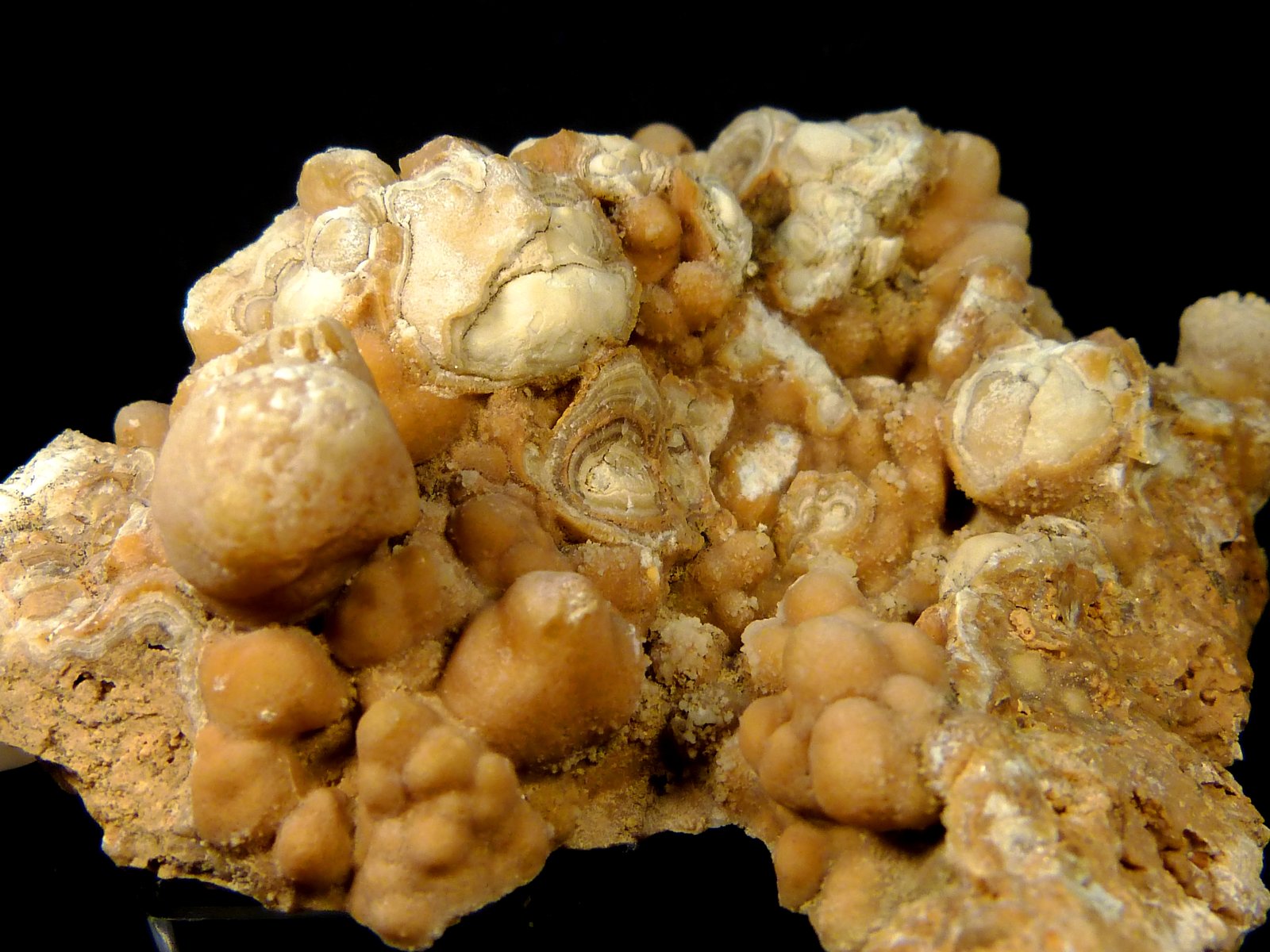 Aragonito
7 x 8 x 3,5 cm.
(Autor: Felipe Abolafia)