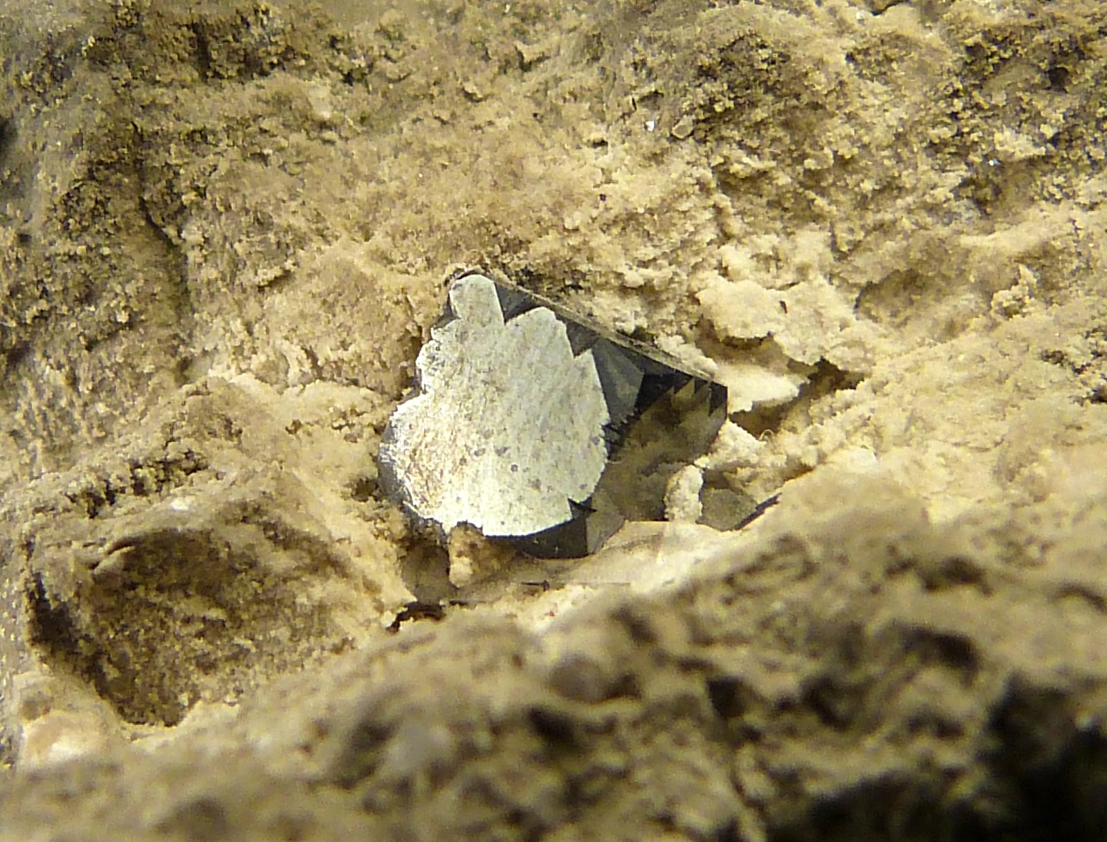 Bixbyita y topacio
6,5 x 6 x 5 cm.
(Autor: Felipe Abolafia)