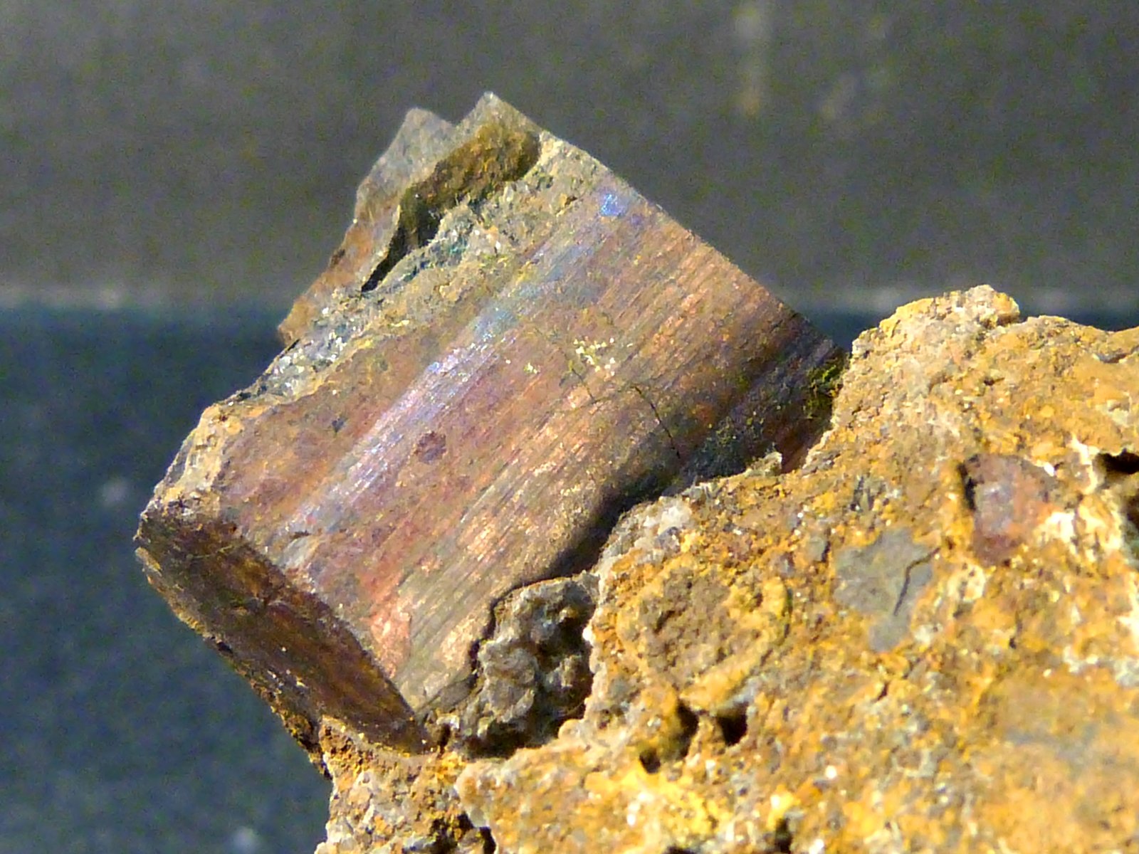 Goethita pseud. pirita y limonita
4,5 x 4 x 3 cm.
(Autor: Felipe Abolafia)