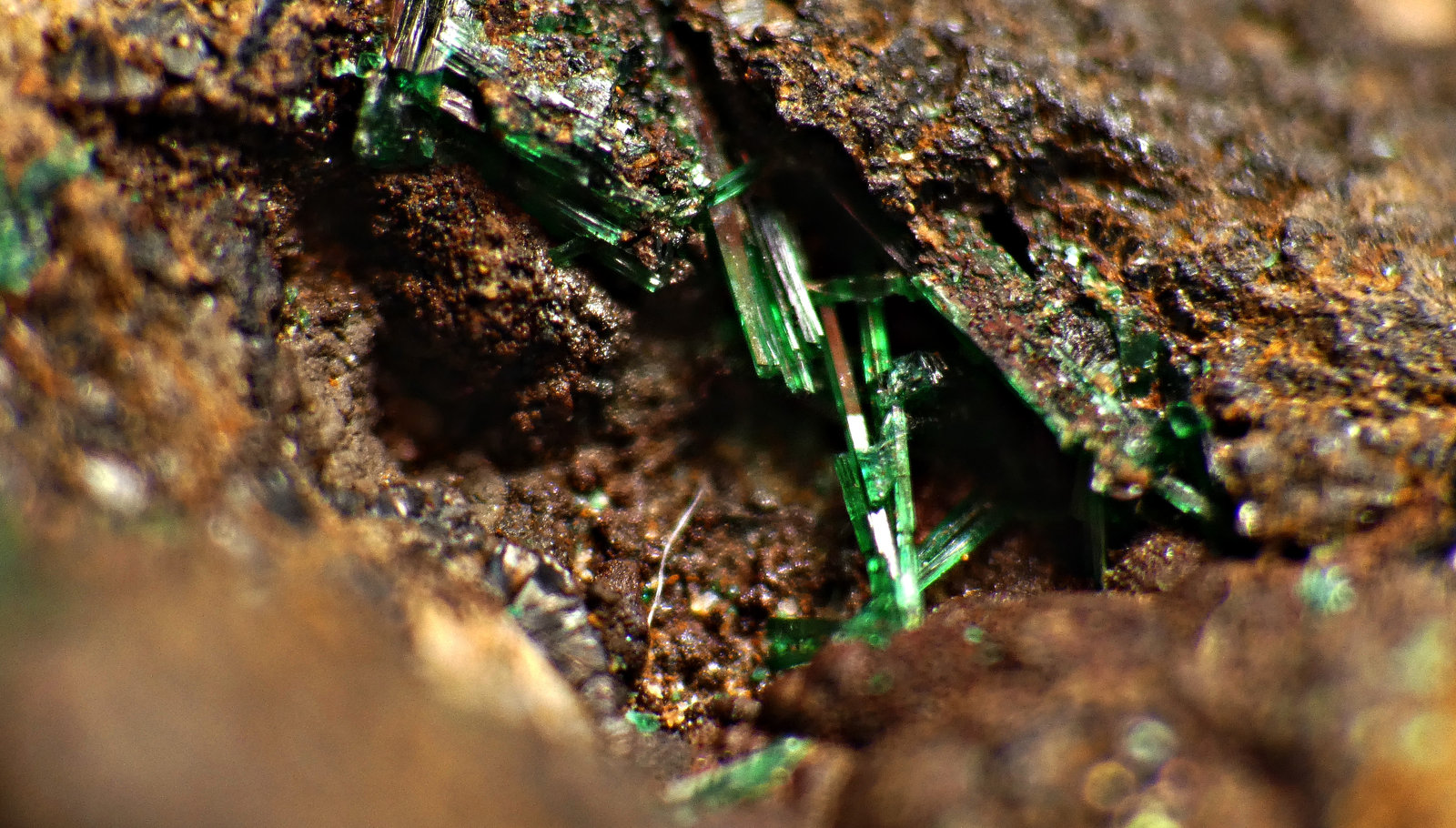 Malaquita
0,5 cm.
(Autor: DPC)