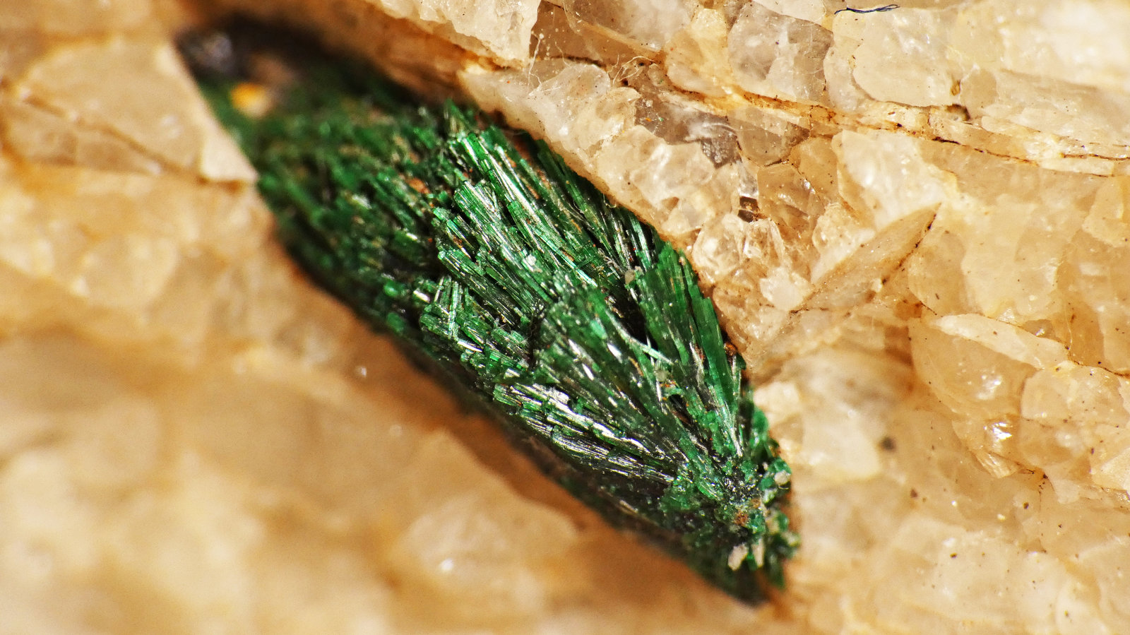 Malaquita
1 cm.
(Autor: DPC)