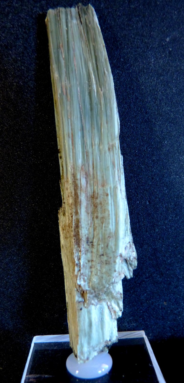 Serpentina
7,5 x 1 x 0,5 cm.
(Autor: Felipe Abolafia)