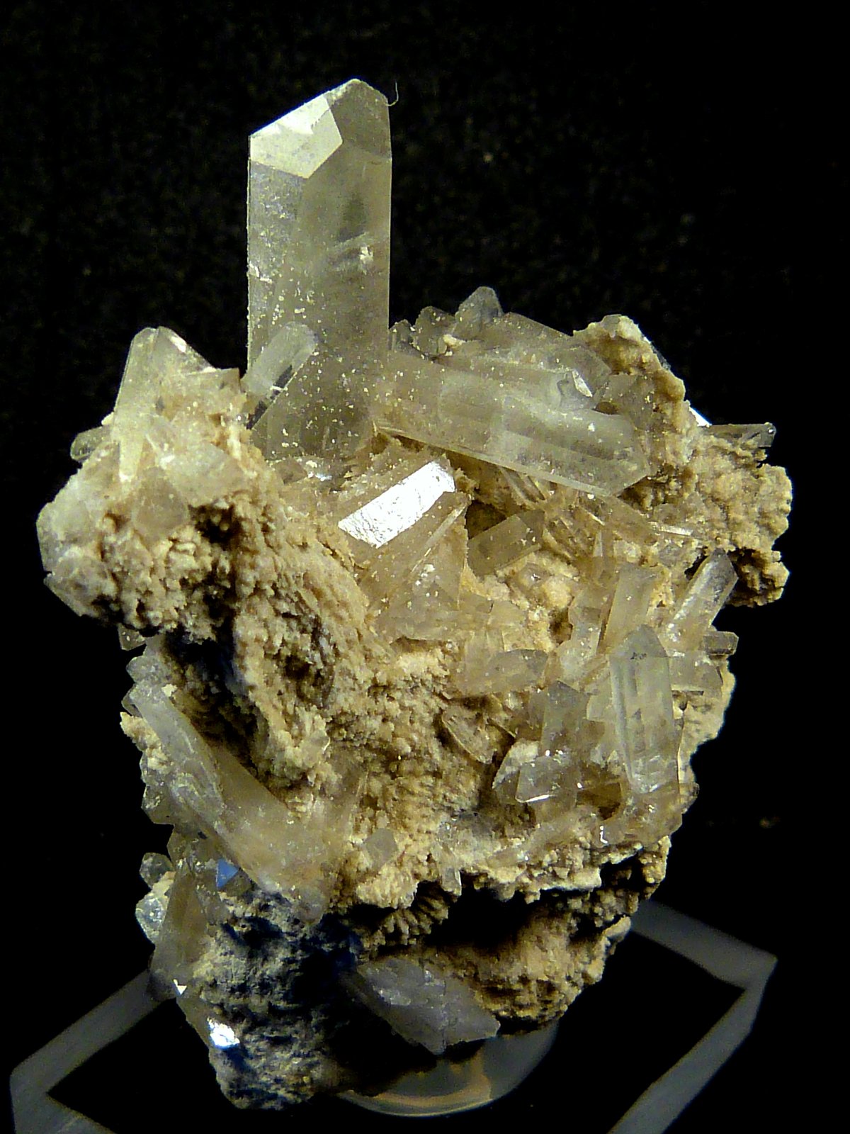 Celestina
3 x 4,5 x 2,5 cm.
(Autor: Felipe Abolafia)