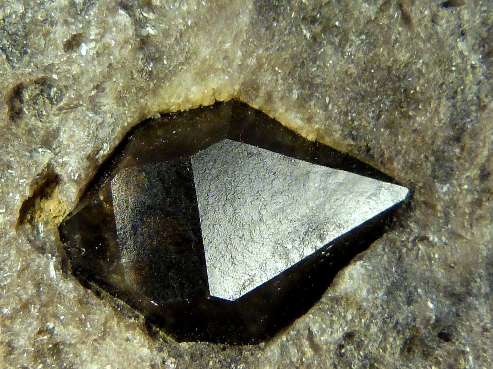 Cuarzo (variedad morión)
2 x 1,5 cm.
(Autor: Felipe Abolafia)
