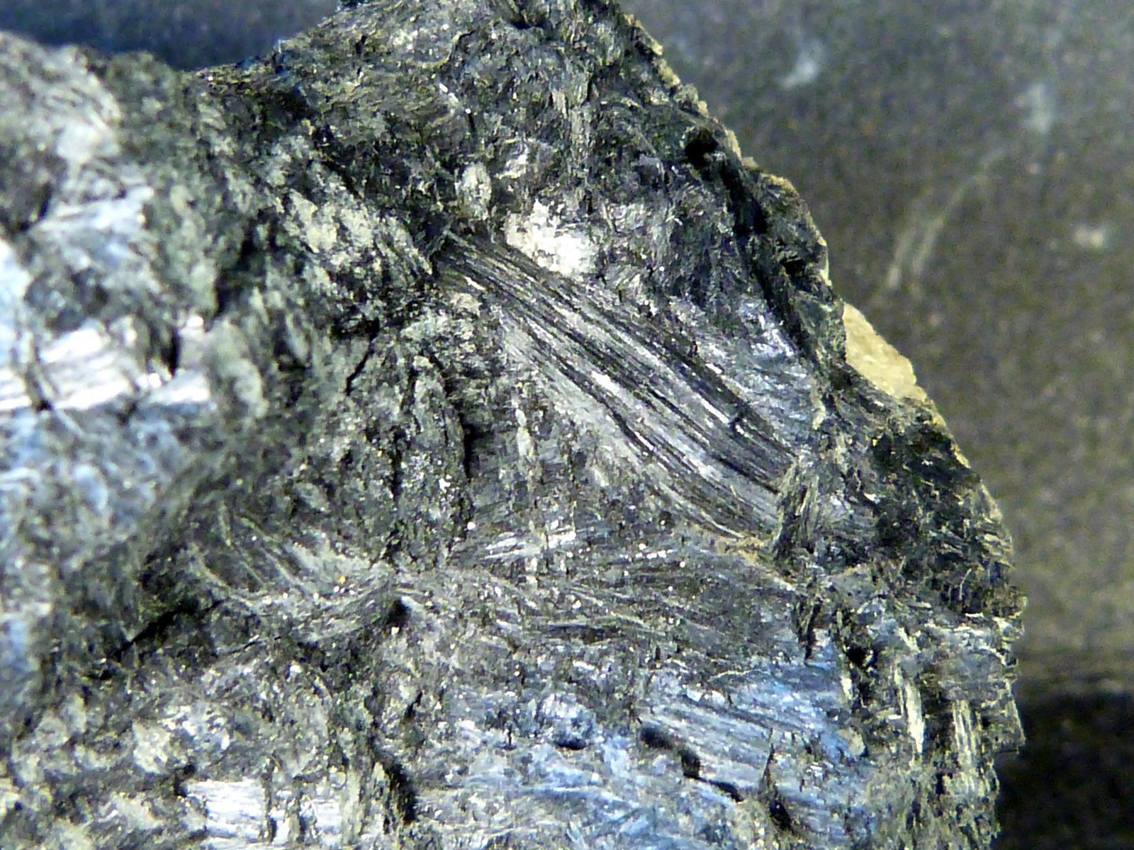 Ludwigita
5 x 4,5 x 4 cm.
(Autor: Felipe Abolafia)