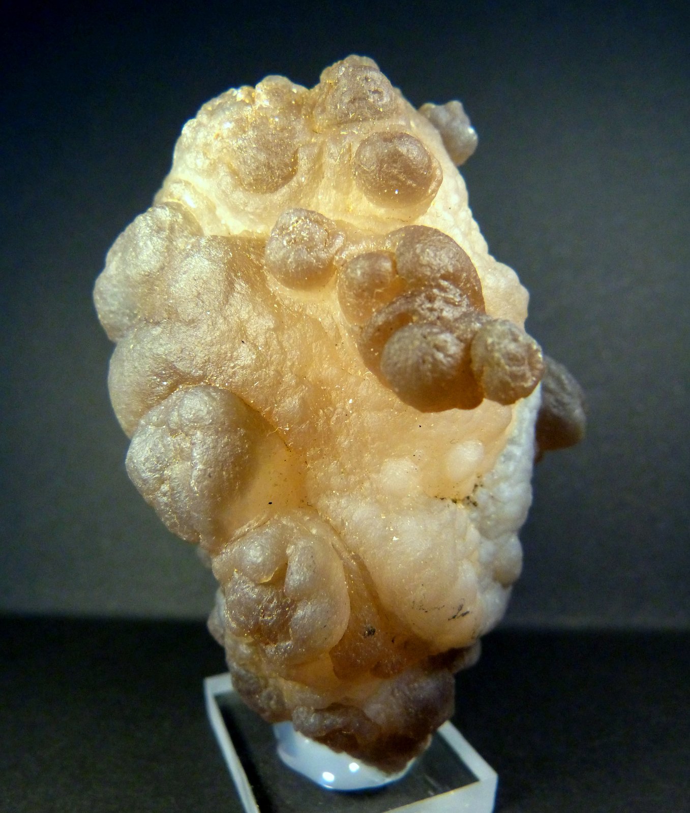 Cuarzo (variedad calcedonia)
7 x 4 x 3,5 cm.
(Autor: Felipe Abolafia)