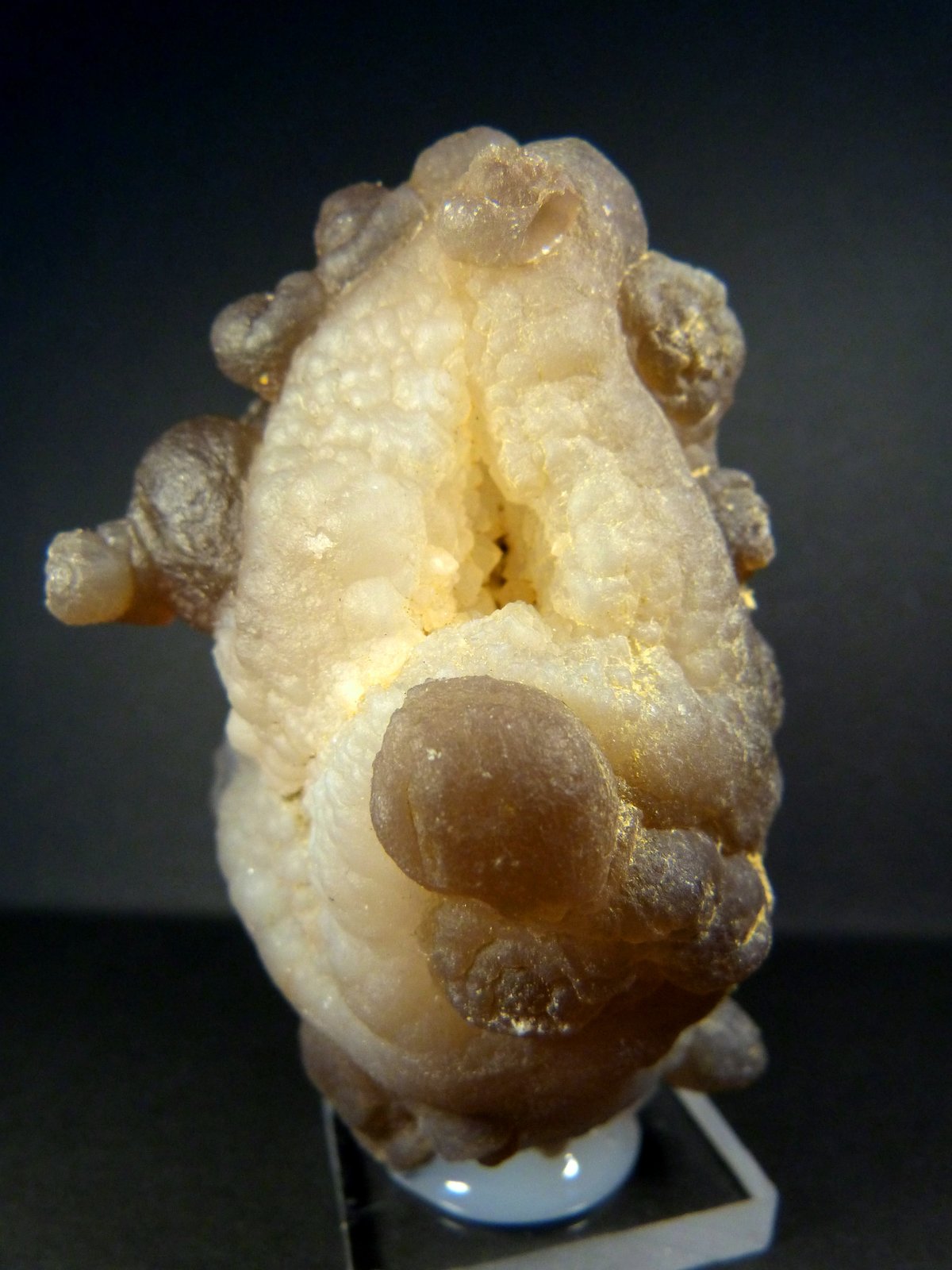 Cuarzo (variedad calcedonia)
7 x 4 x 3,5 cm.
(Autor: Felipe Abolafia)