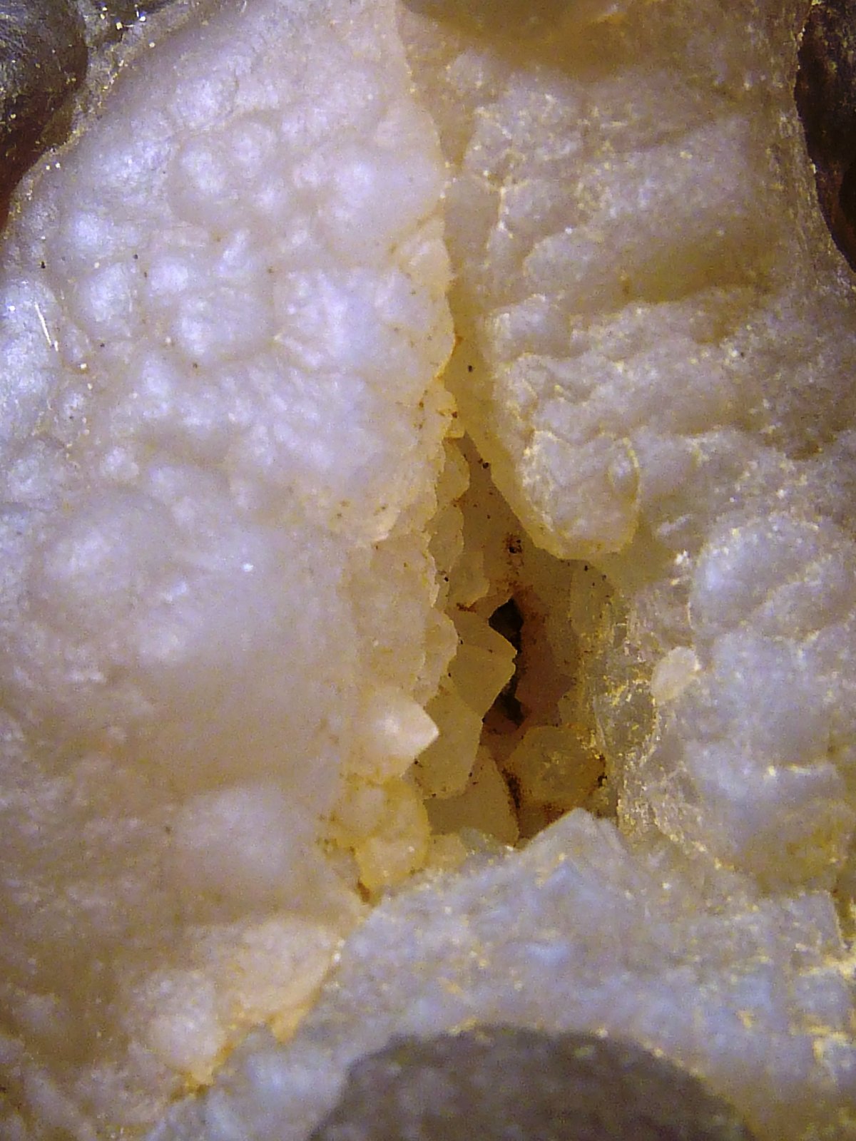 Cuarzo (variedad calcedonia)
7 x 4 x 3,5 cm.
(Autor: Felipe Abolafia)