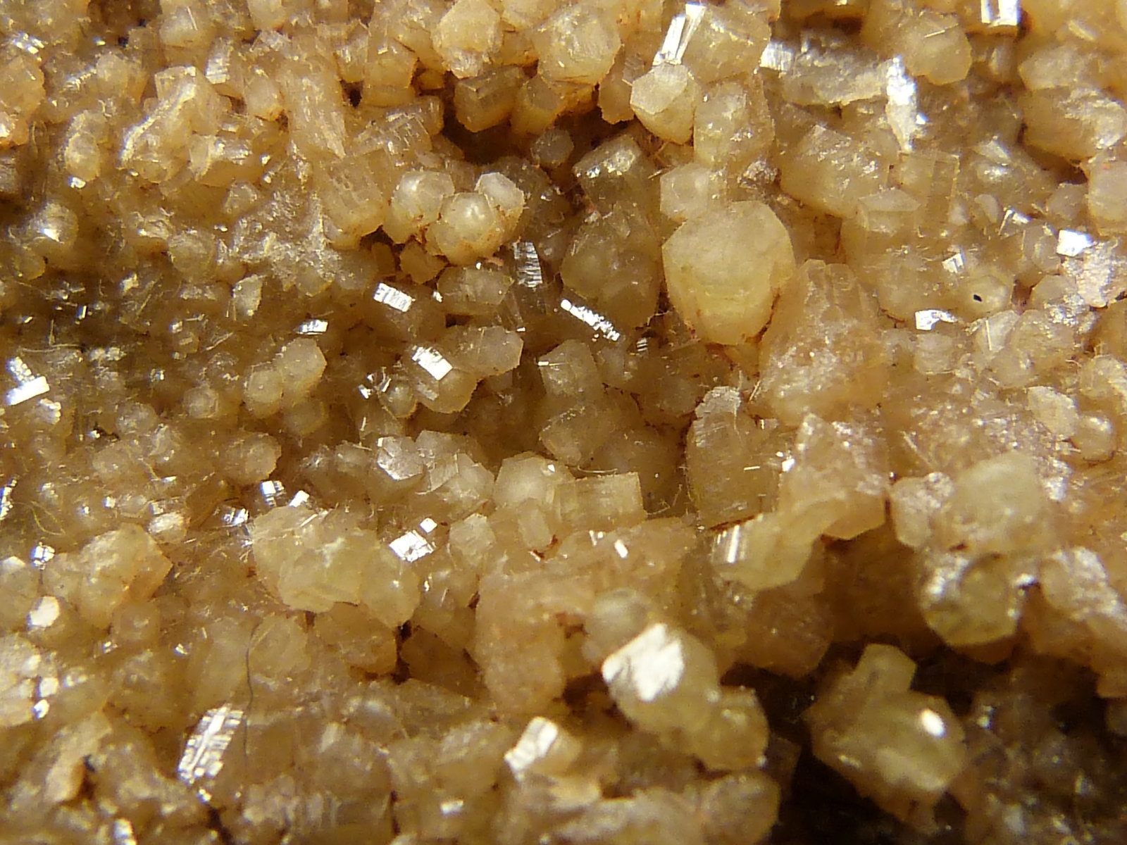 Piromorfita
8 x 7,5 x 3 cm.
(Autor: Felipe Abolafia)