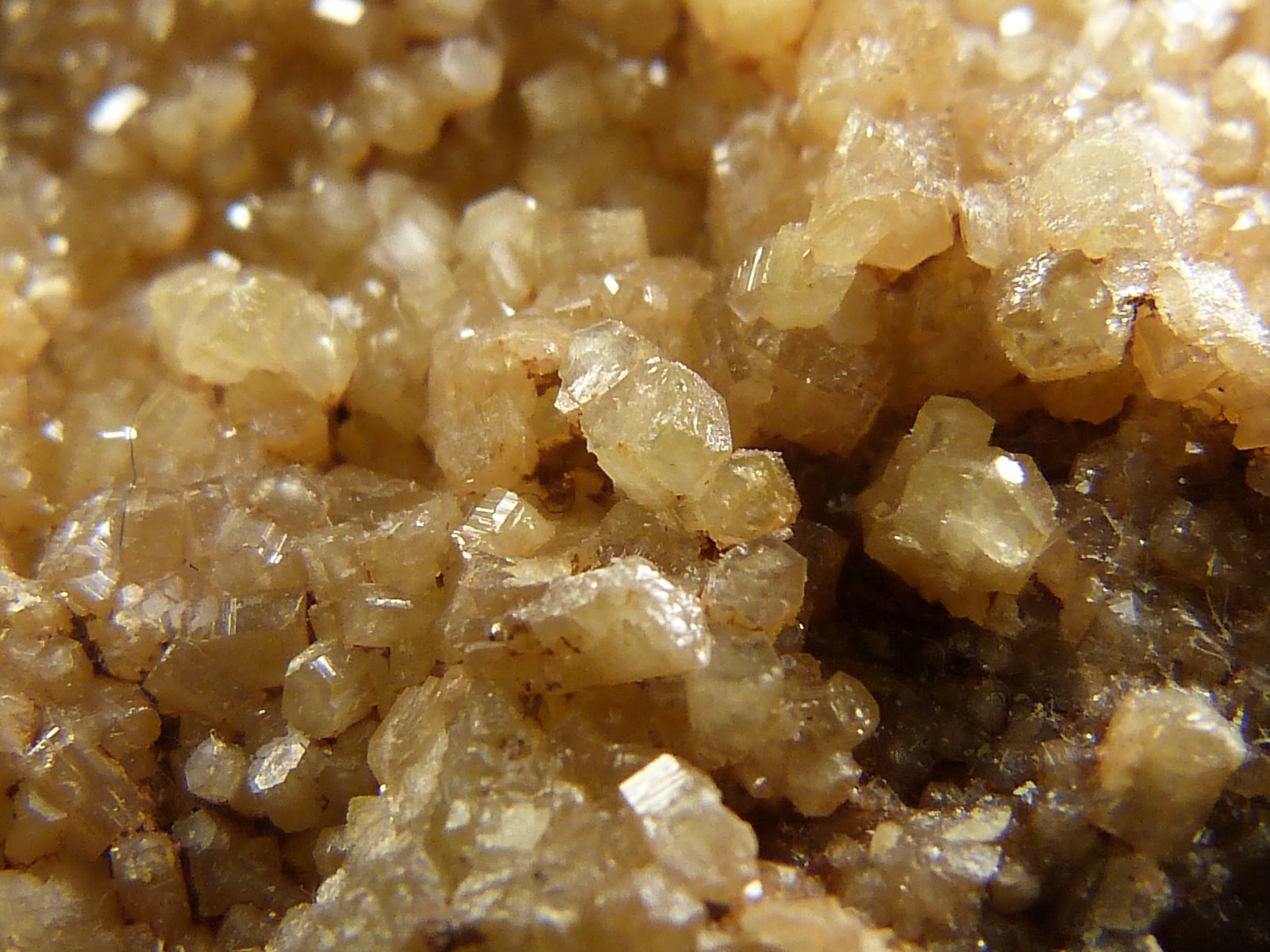 Piromorfita
8 x 7,5 x 3 cm.
(Autor: Felipe Abolafia)