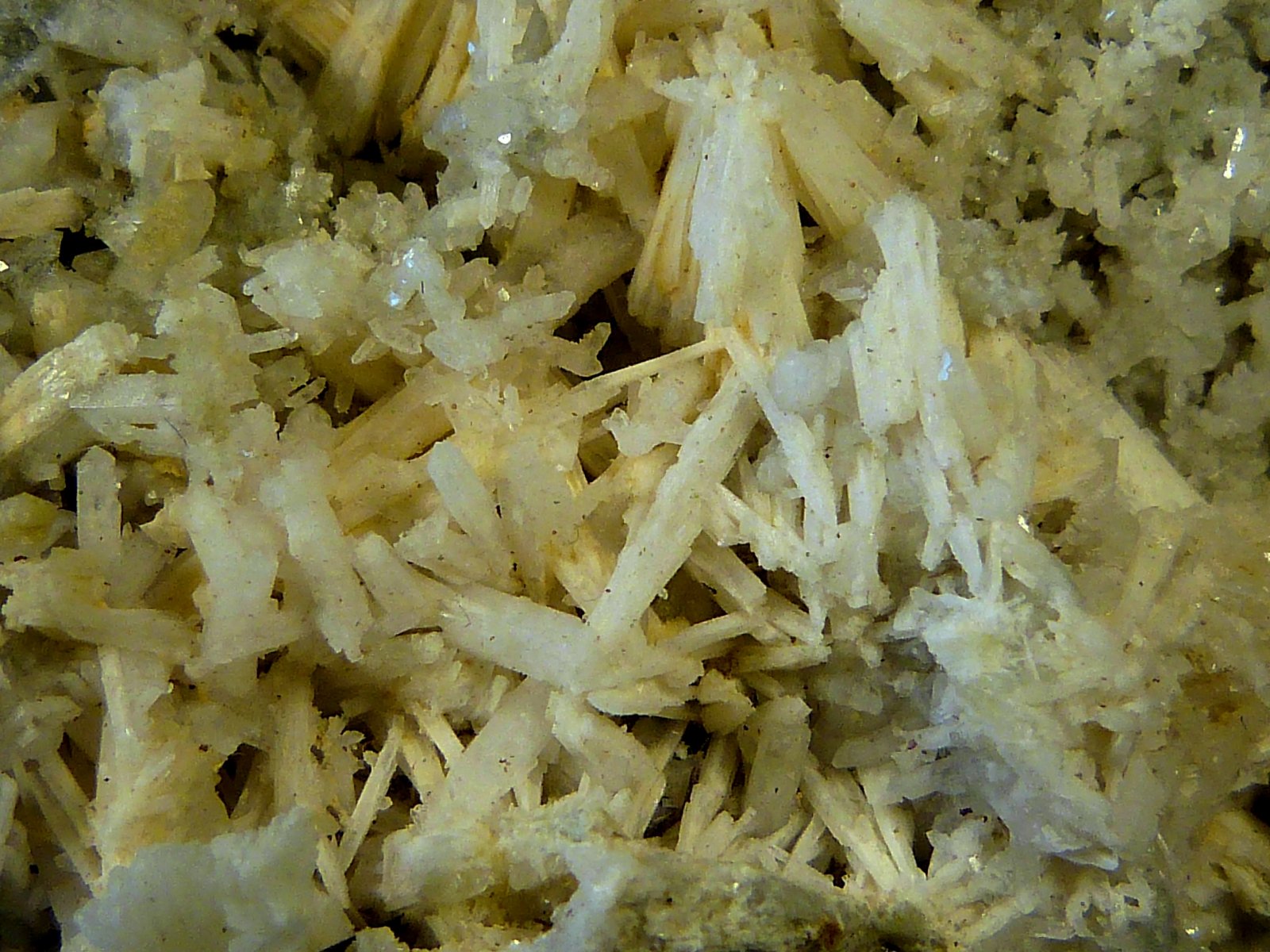 Prehnita y Cuarzo
11 x 7 x 4 cm
(Autor: Felipe Abolafia)