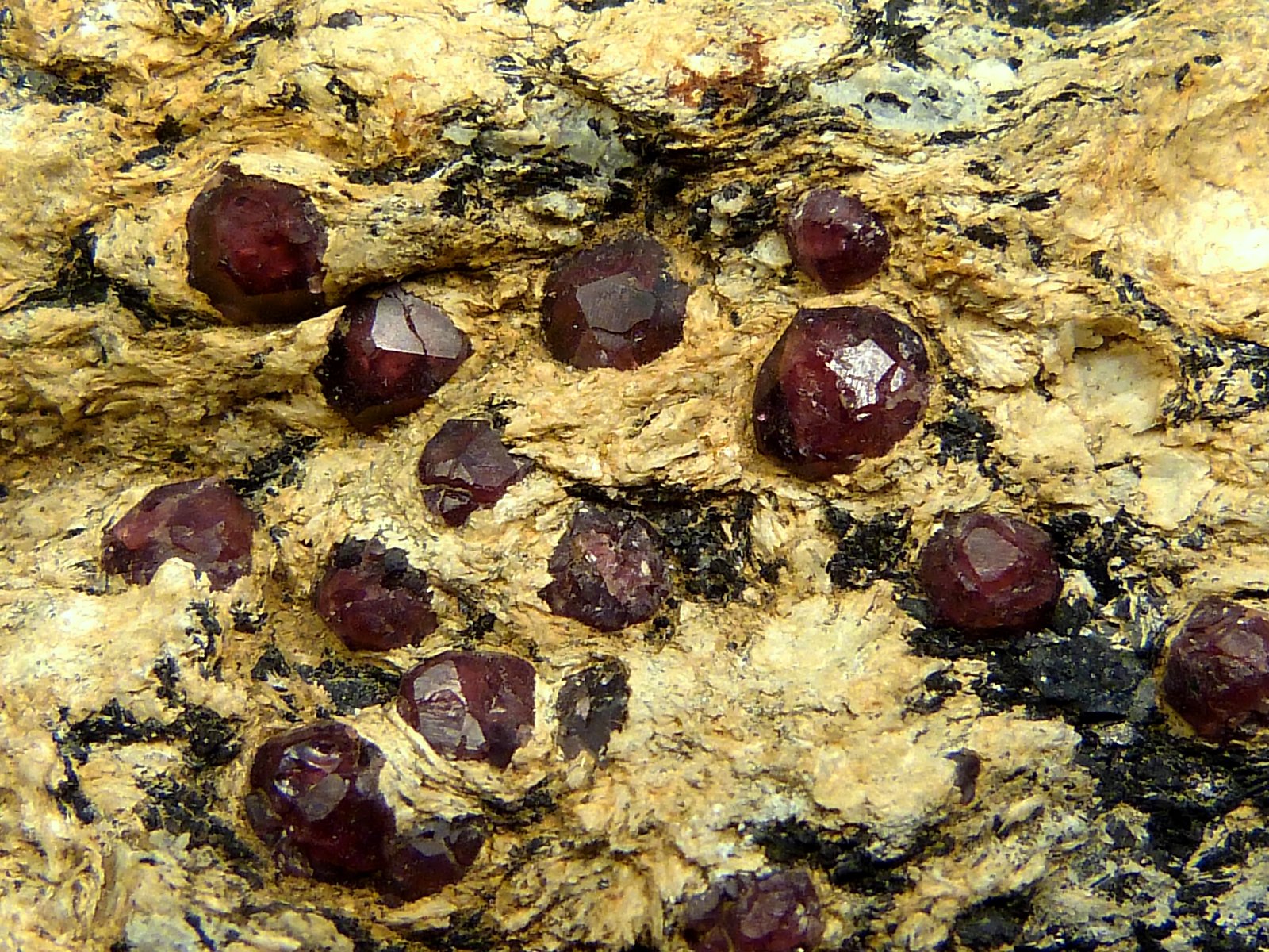Almandino en Cordierita
10 x 7 x 3 cm.
(Autor: Felipe Abolafia)