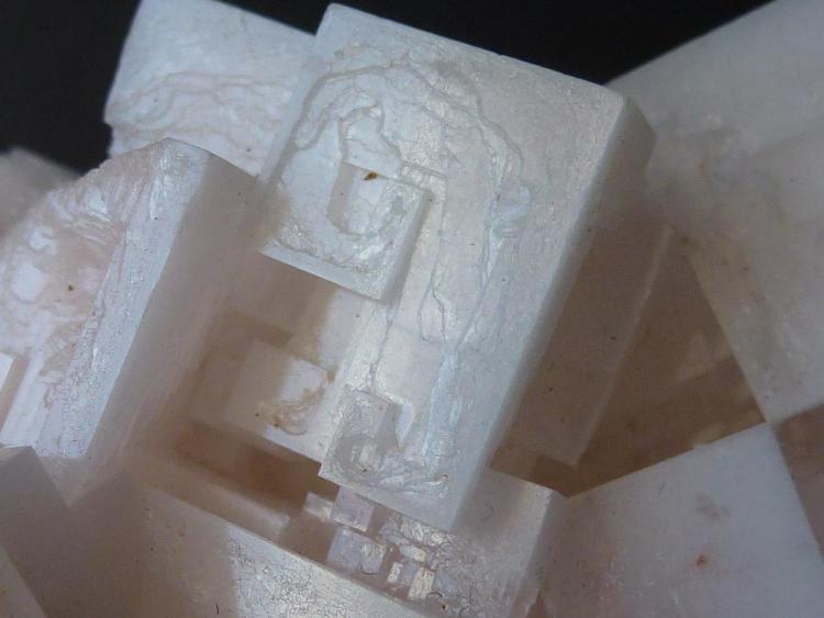 Halita
7 x 5 cm.
(Autor: javier ruiz martin)