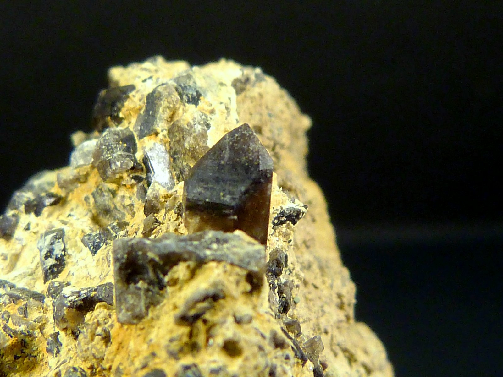 Cuarzo (variedad morión)
Cristal de 5 x 4 mm.
(Autor: Felipe Abolafia)
