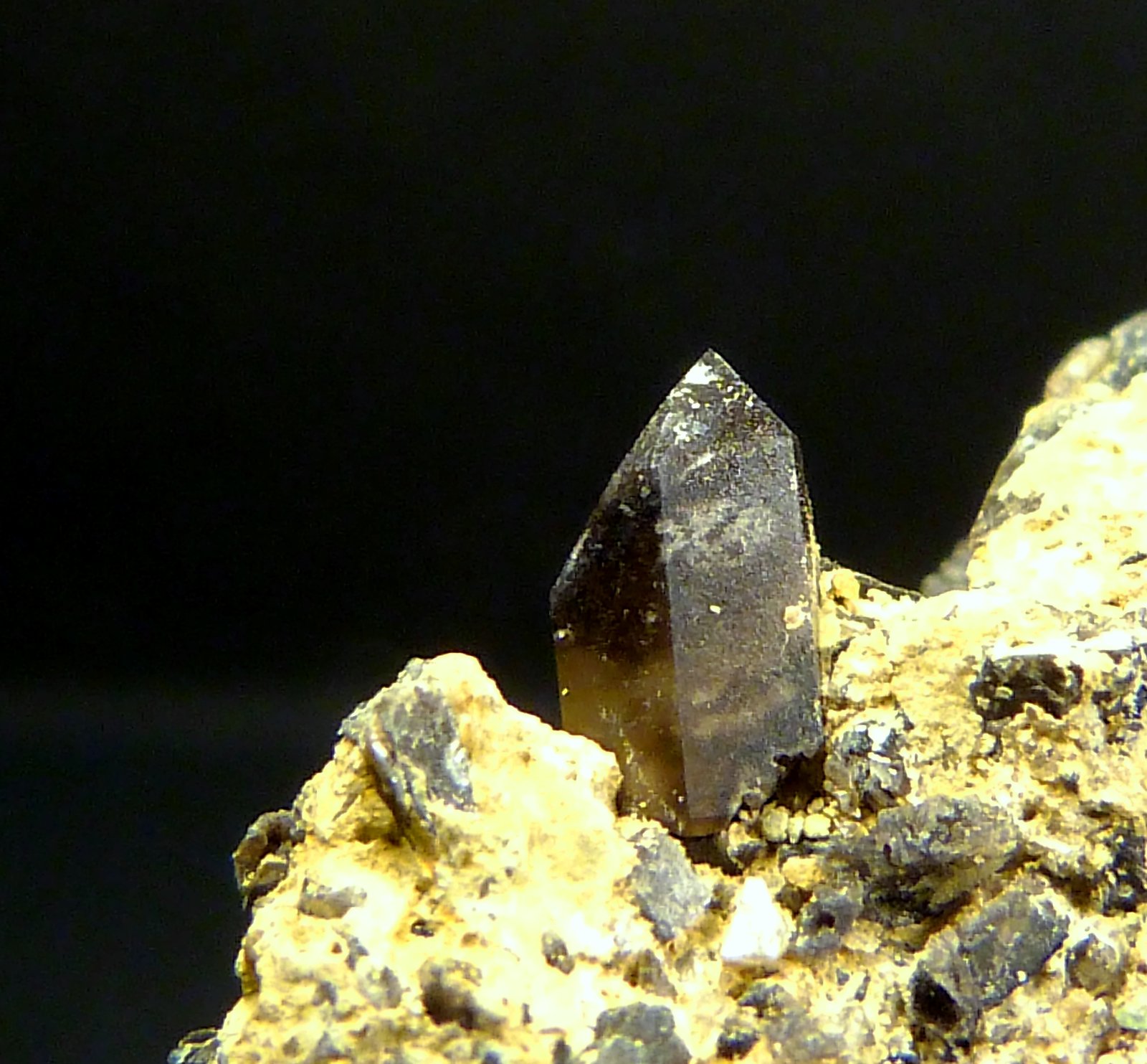 Cuarzo (variedad morión)
Cristal de 5 x 4 mm.
(Autor: Felipe Abolafia)