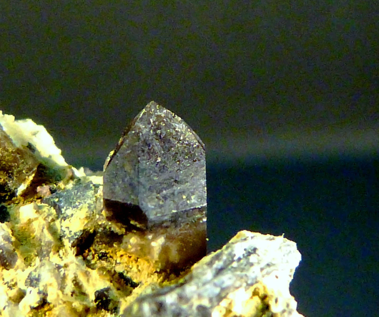Cuarzo (variedad morión)
Cristal de 5 x 4 mm.
(Autor: Felipe Abolafia)