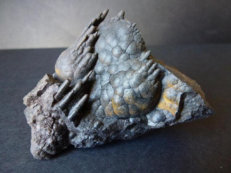 Goethita
6 x 5 cm.
(Autor: javier ruiz martin)