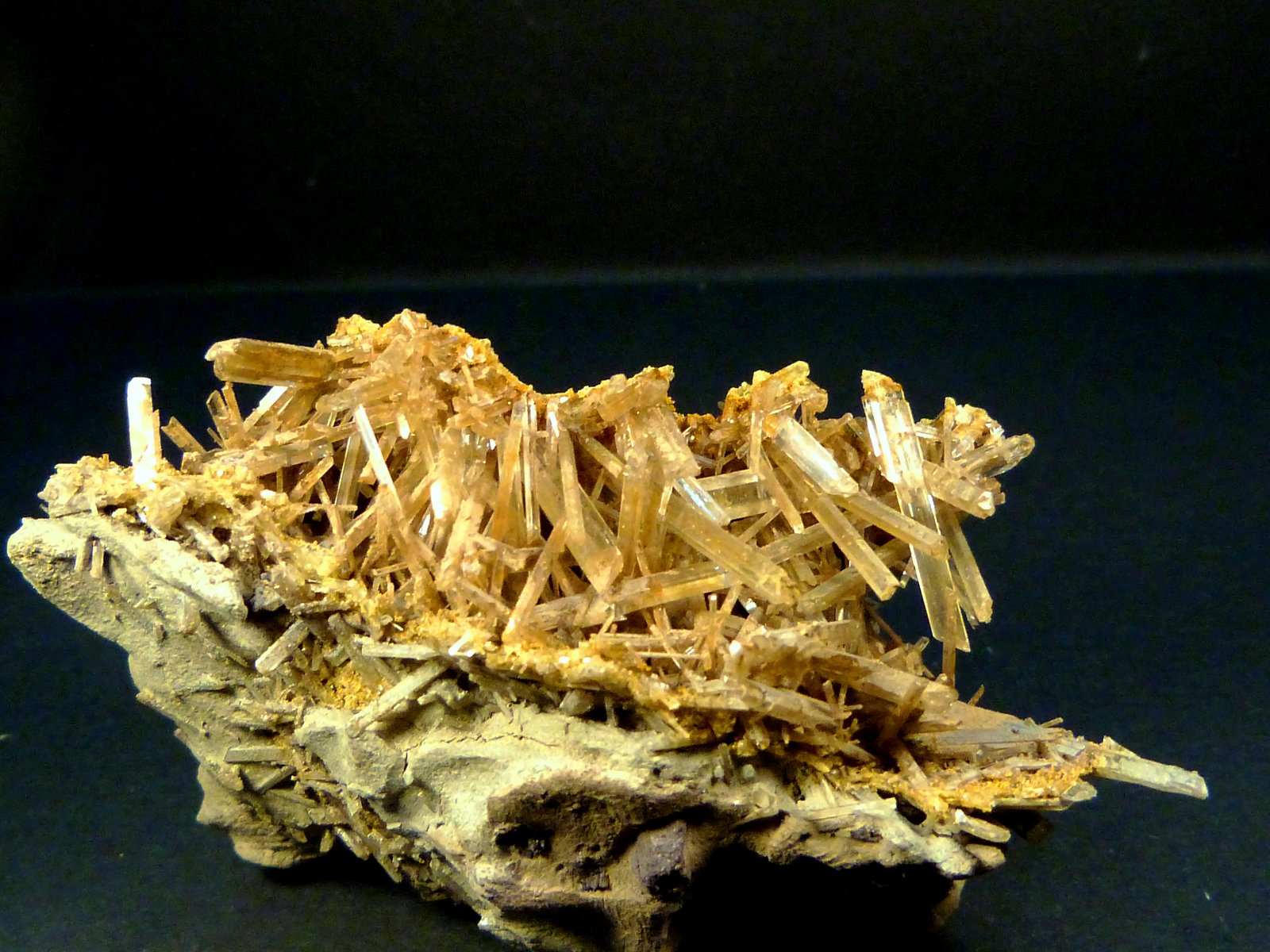 Yeso
6 x 4 x 3 cm.
(Autor: Felipe Abolafia)