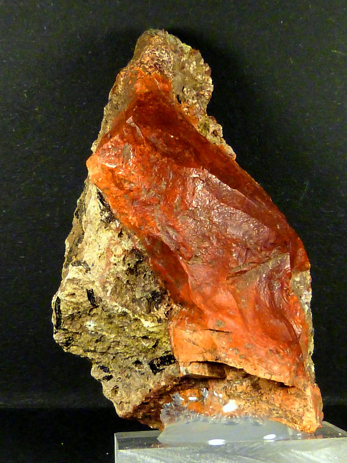Cuarzo (variedad jaspe)
3,5 x 6 x 2 cm.
(Autor: Felipe Abolafia)