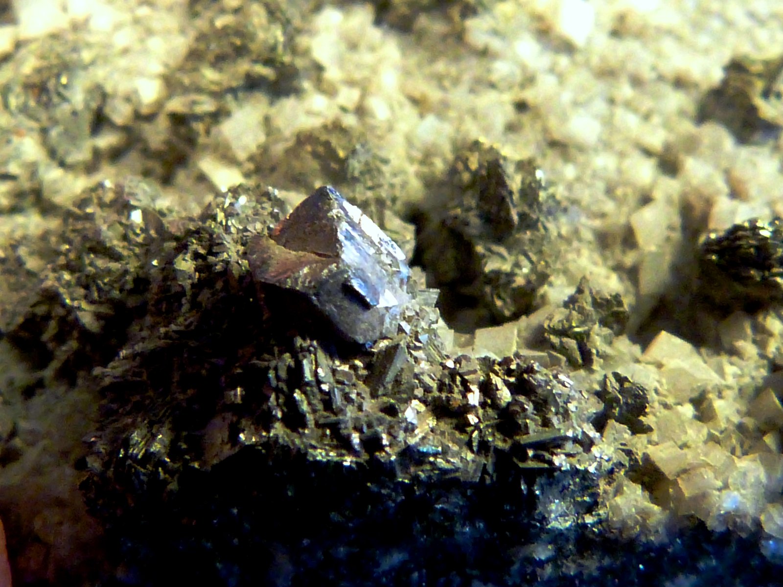 Siegenita
5 x 3 x 1,5 cm.
(Autor: Felipe Abolafia)