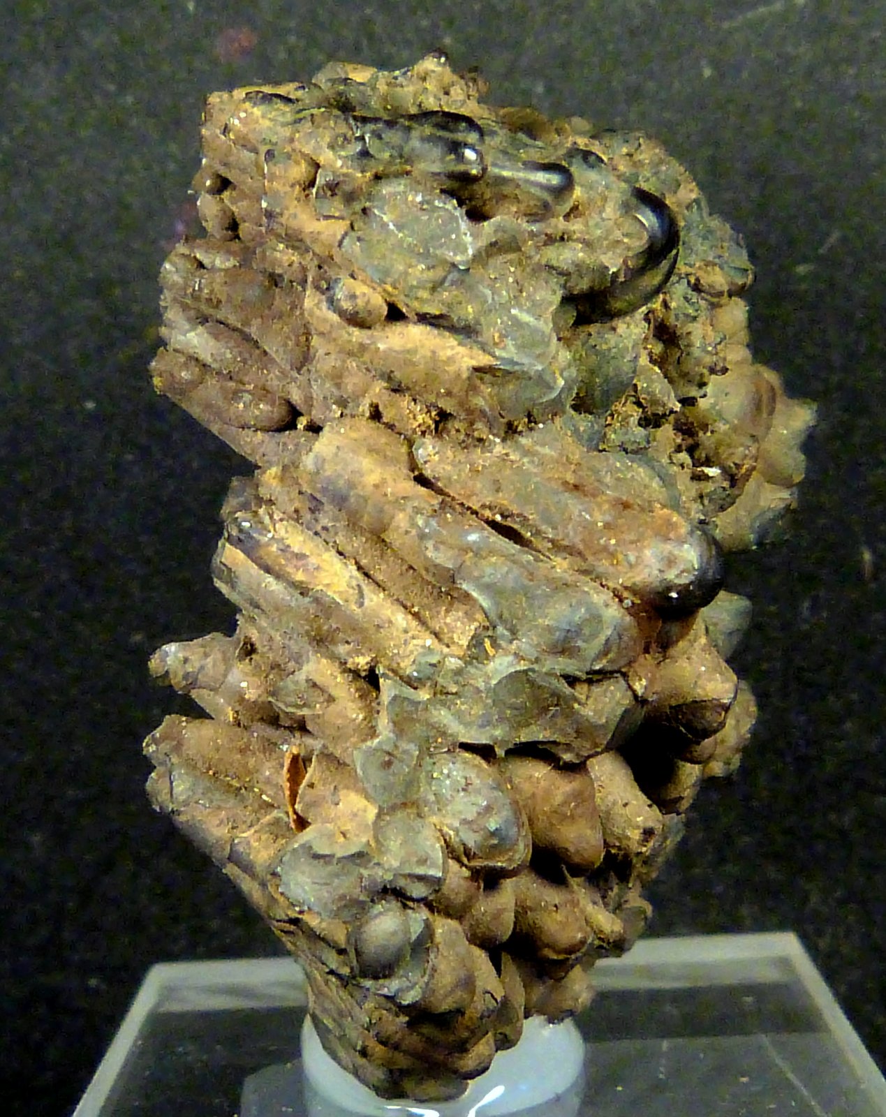 Criptomelana
5 x 3,5 x 2 cm.
(Autor: Felipe Abolafia)