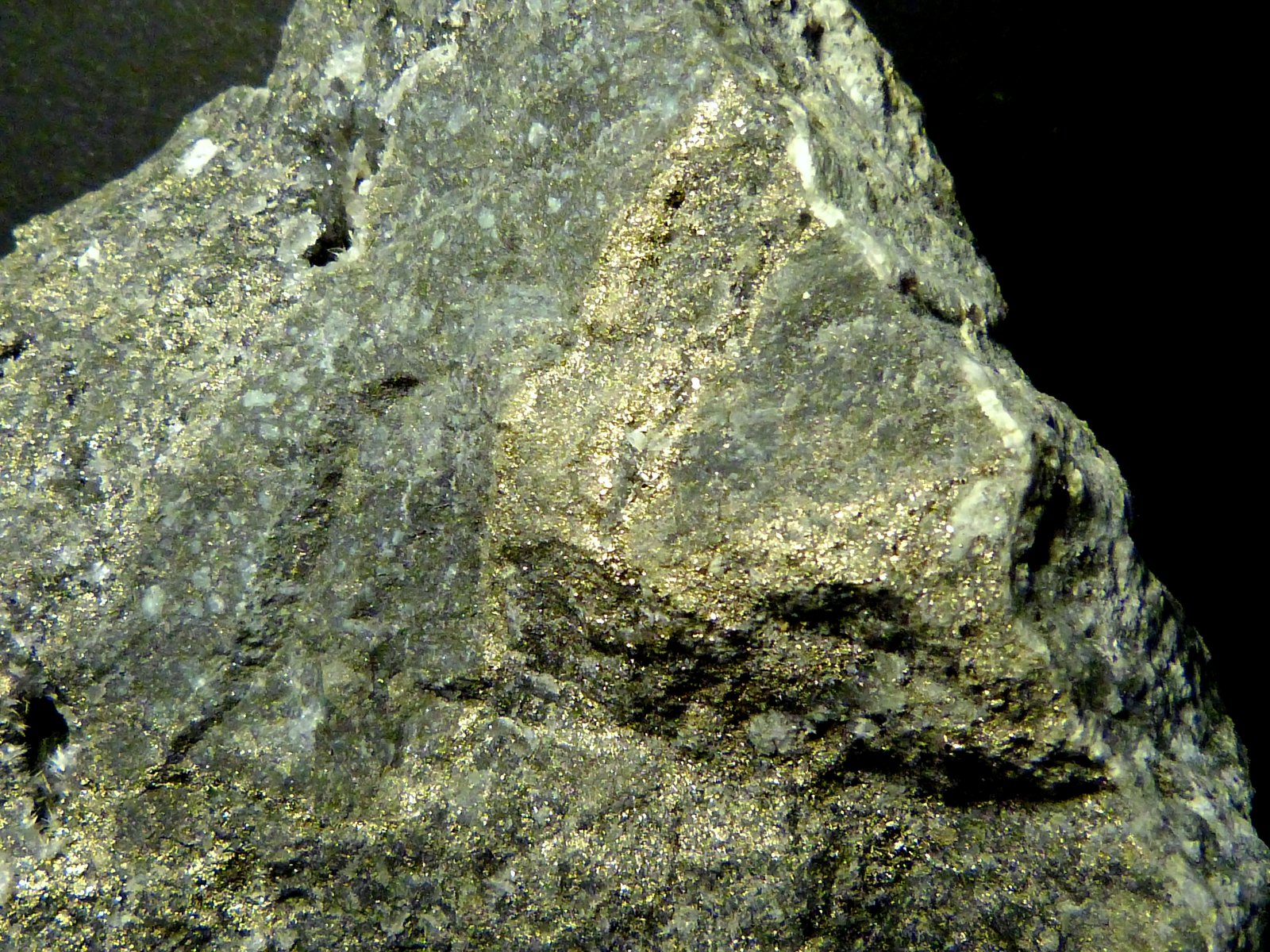 Pirita
9 x 6 x 2 cm.
(Autor: Felipe Abolafia)