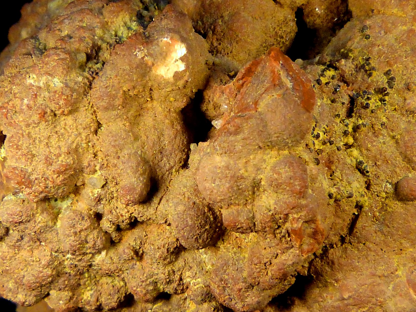Cuarzo (variedad calcedonia)
10 x 8 x 9 cm.
(Autor: Felipe Abolafia)