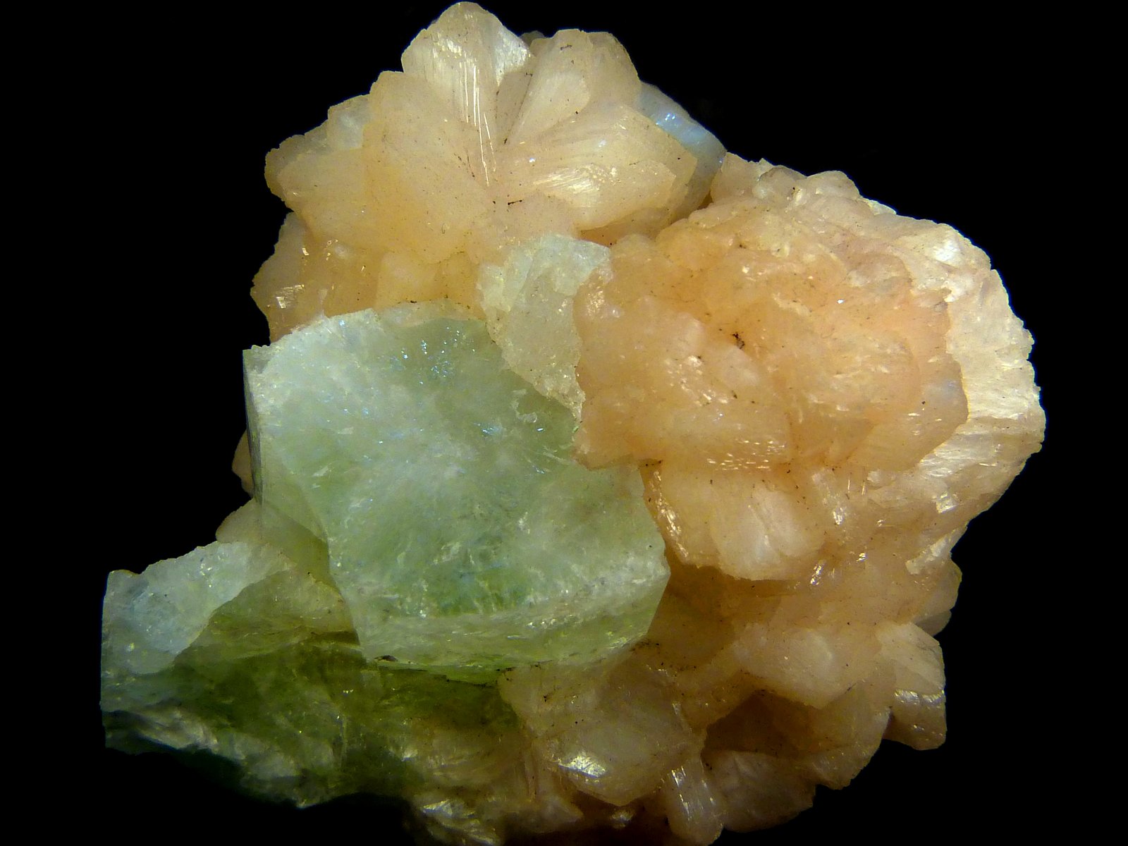 Fluorapofilita-(K) y Estilbita-Ca
6 x 6 x 5 cm.
(Autor: Felipe Abolafia)