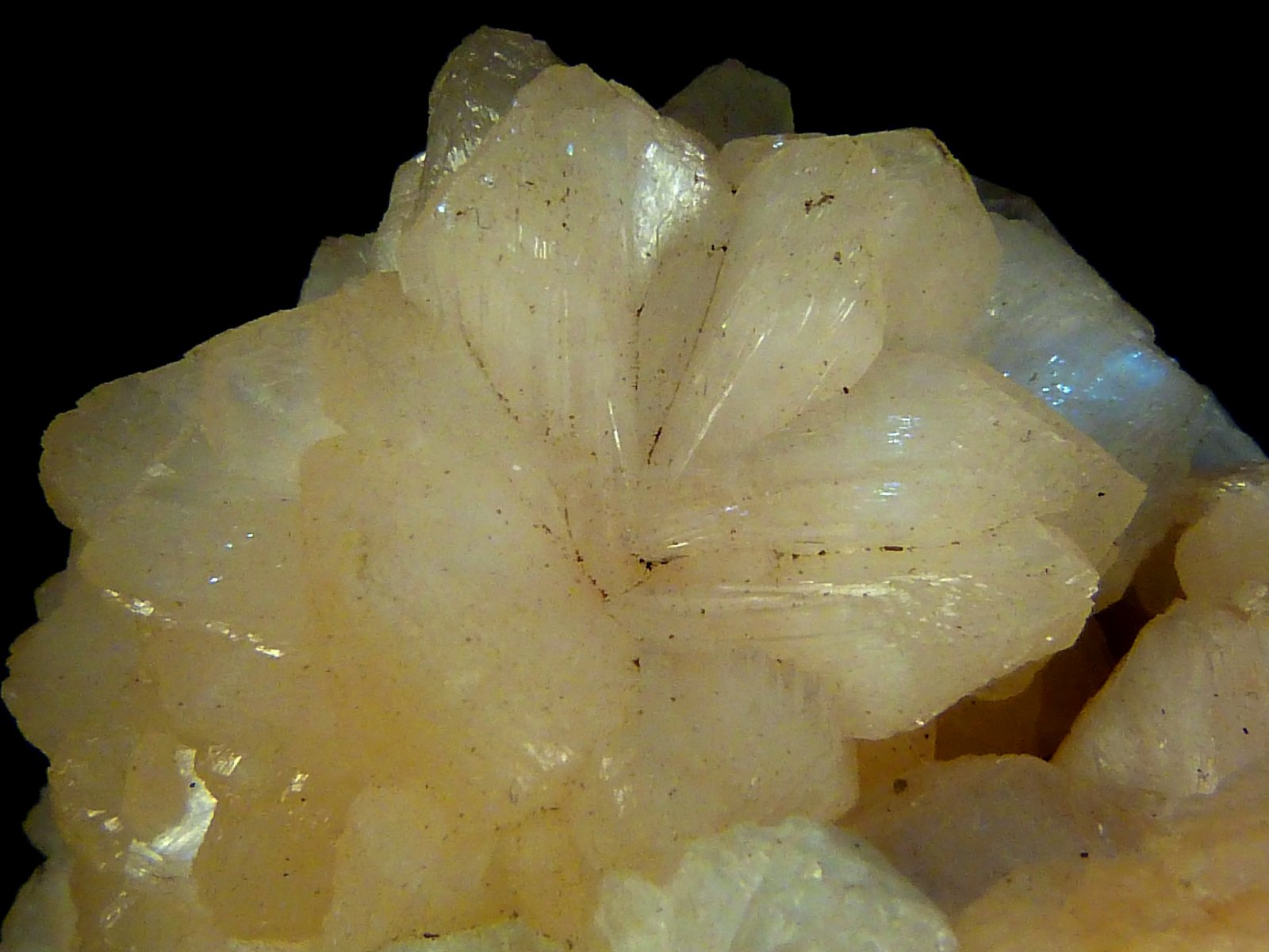 Fluorapofilita-(K) y Estilbita-Ca
6 x 6 x 5 cm.
(Autor: Felipe Abolafia)
