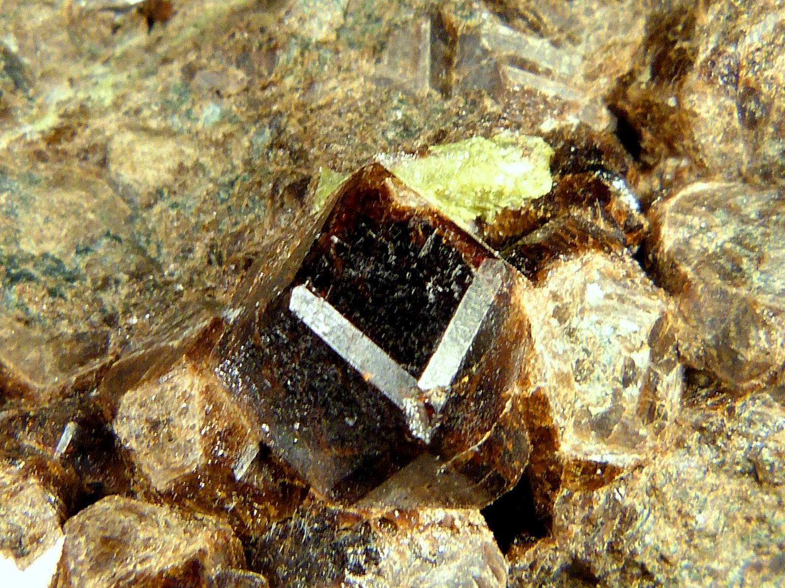 Andradita (Grupo Granate)
8 x 7 x 4 cm.
(Autor: Felipe Abolafia)