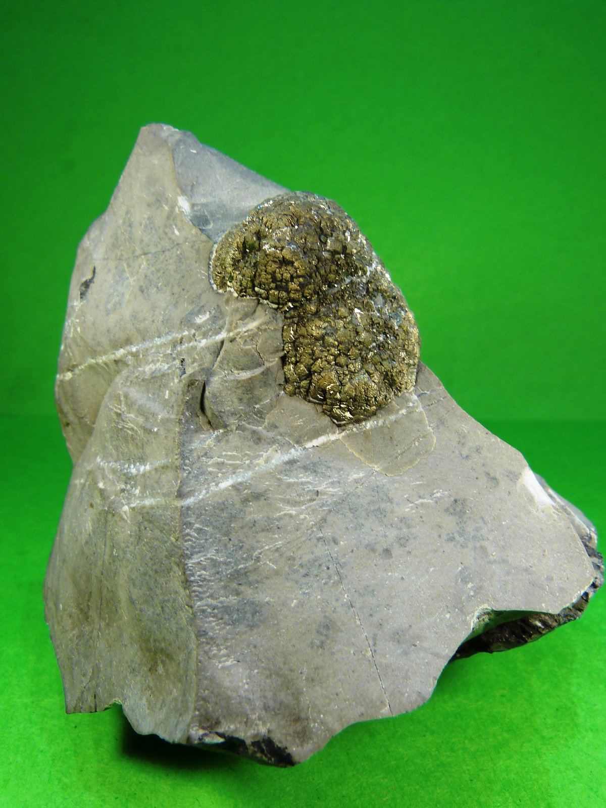 Pirita
8 x 8 x 6 cm.
(Autor: Felipe Abolafia)